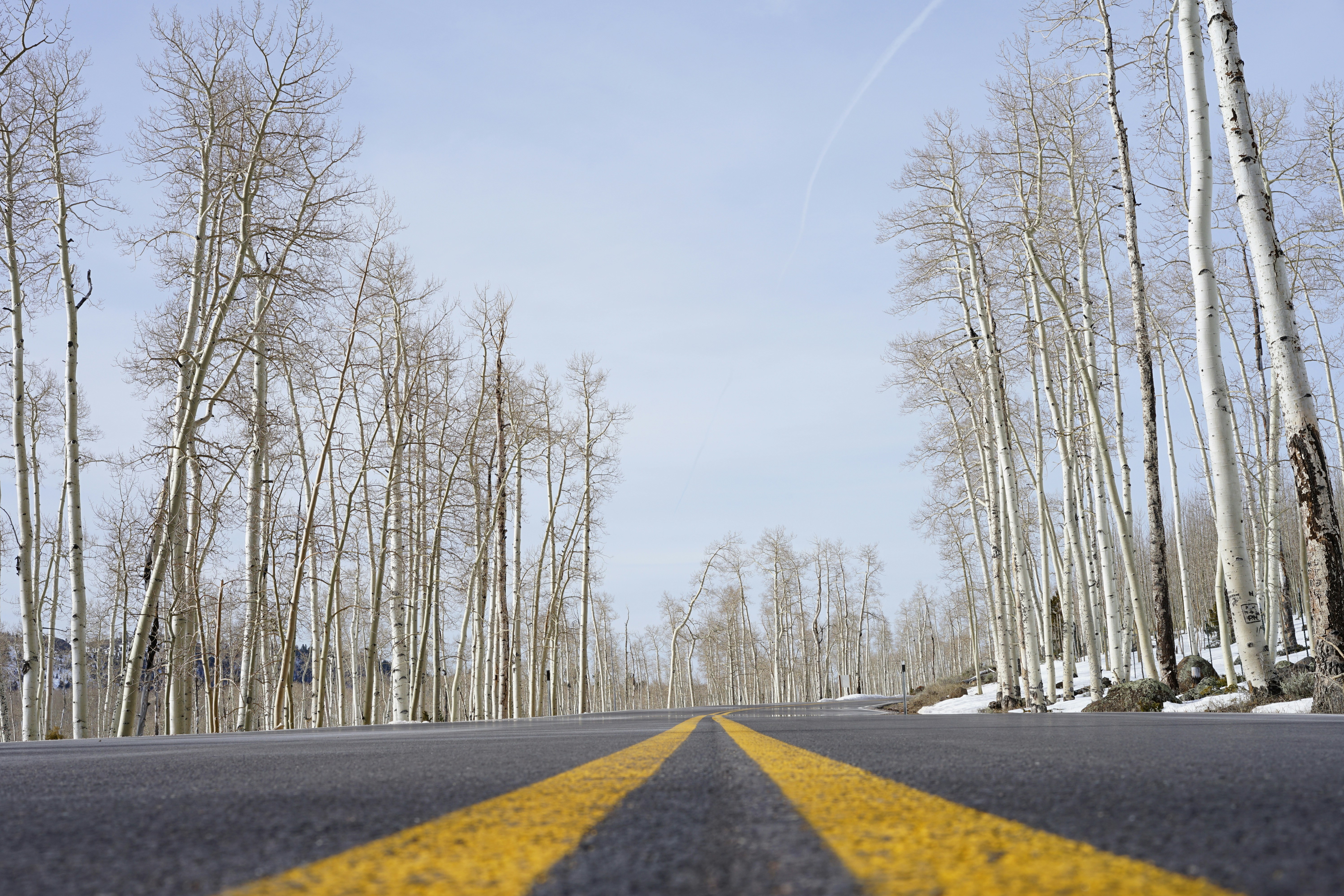 Free Unsplash photo from William Felker