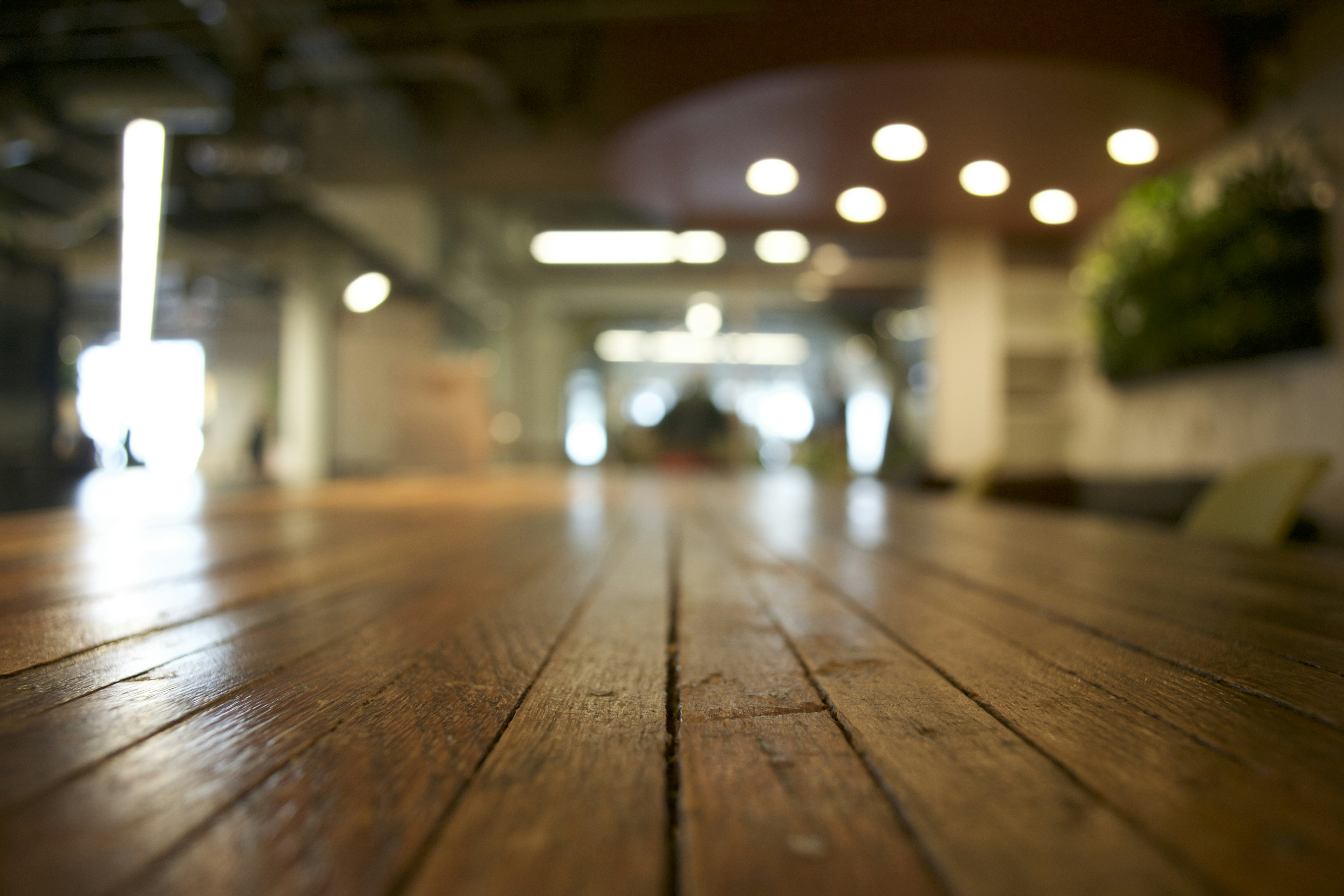 Free Unsplash photo from William Felker