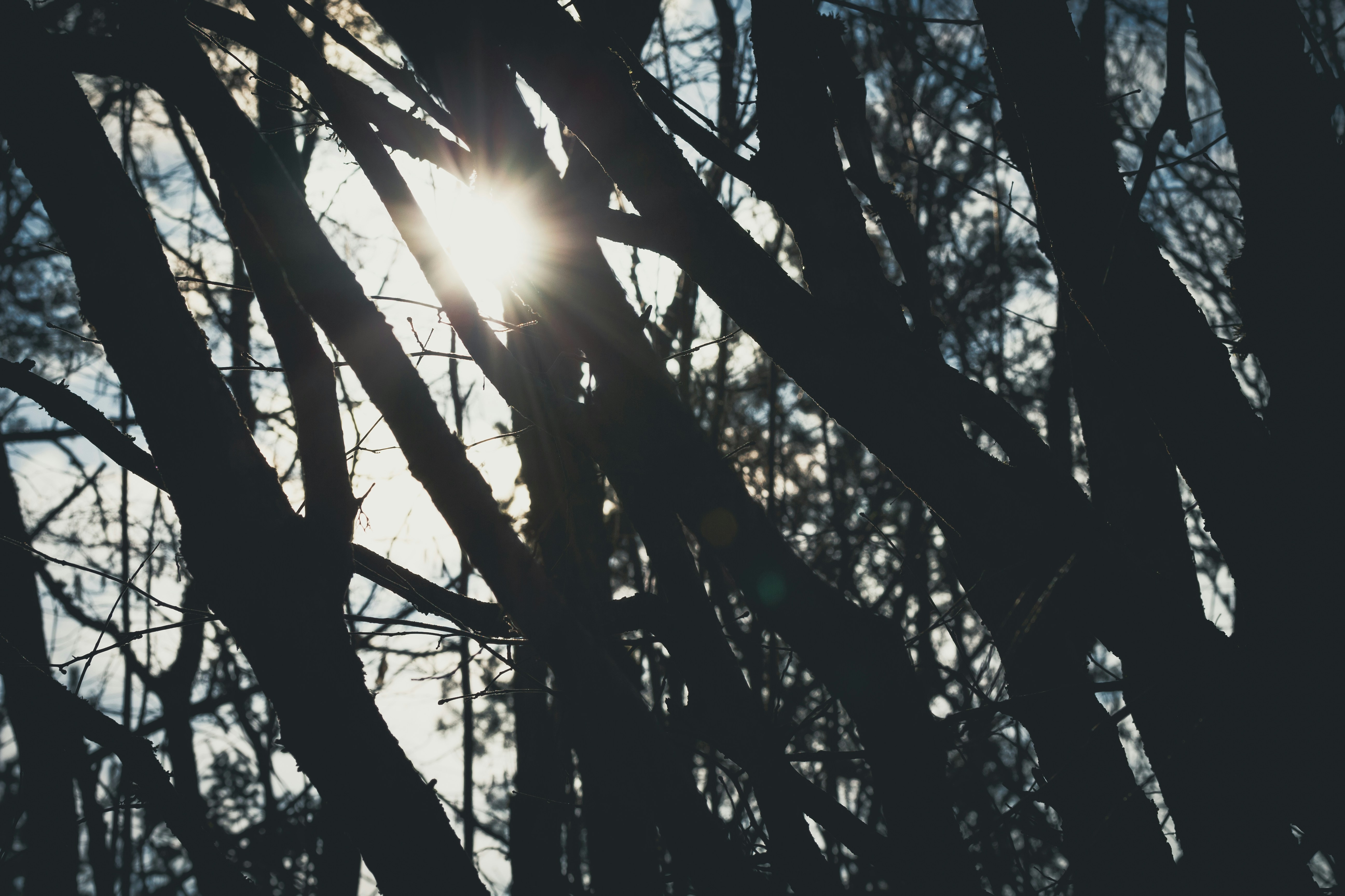 Free Unsplash photo from Aliis Sinisalu