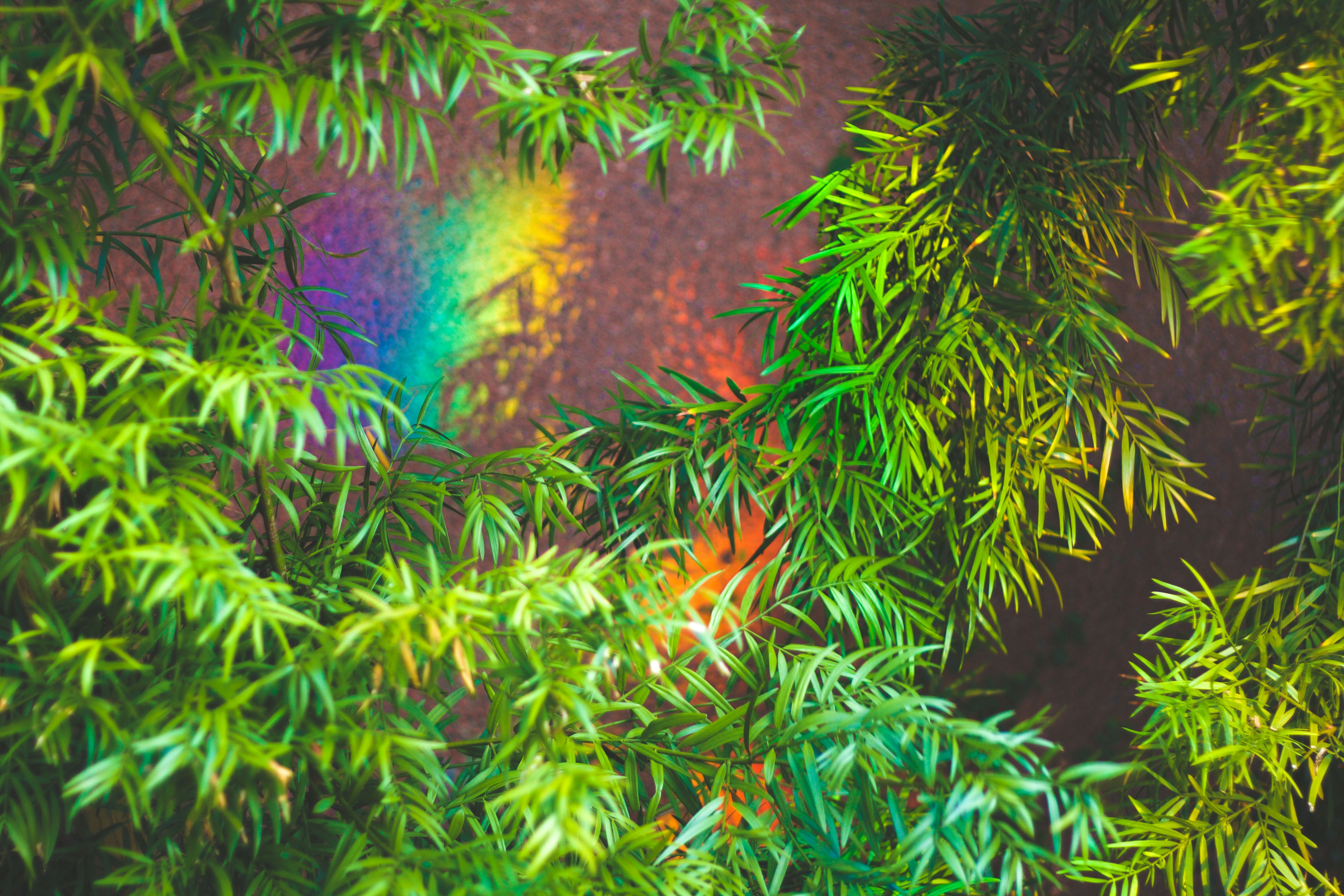 Free Unsplash photo from Tyler Mullins