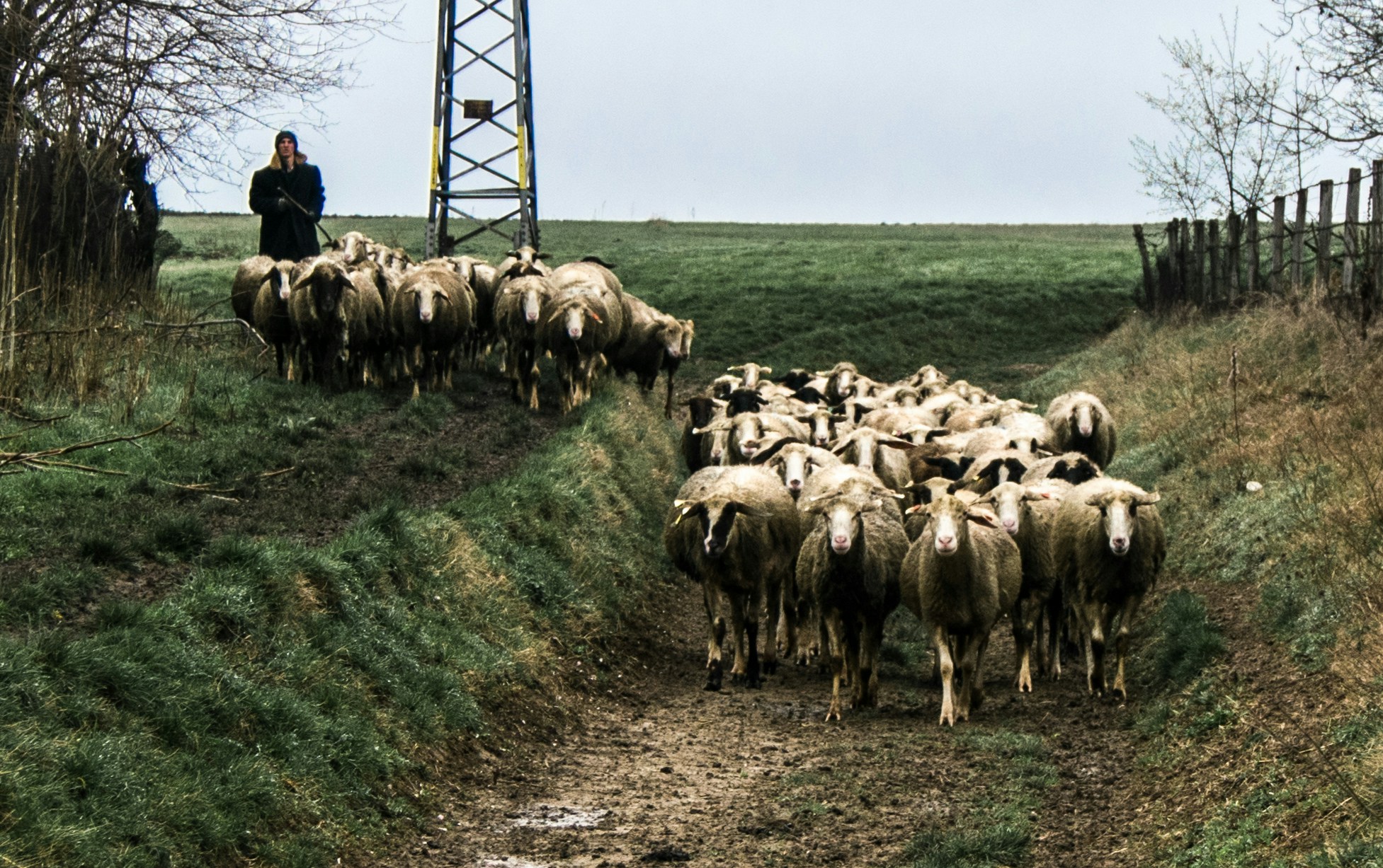 Free Unsplash photo from Gergana Vacheva