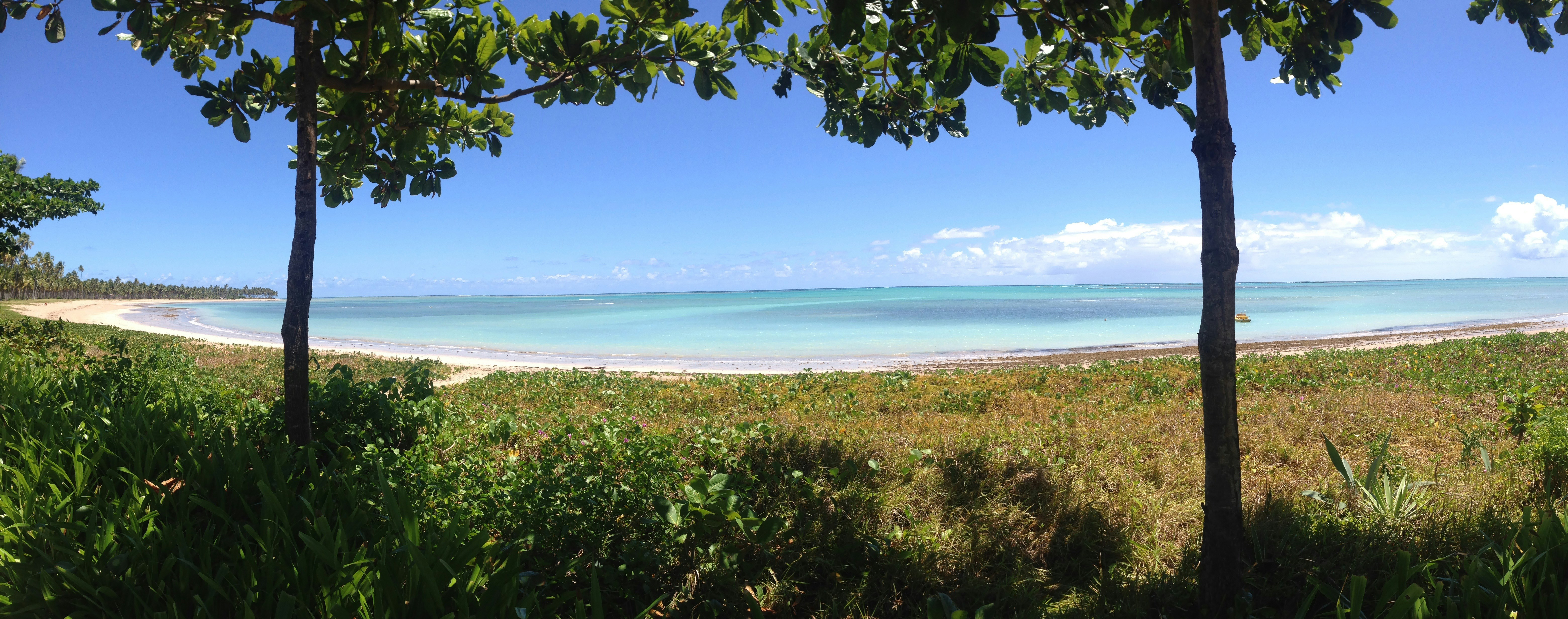 Free Unsplash photo from Carol Junior