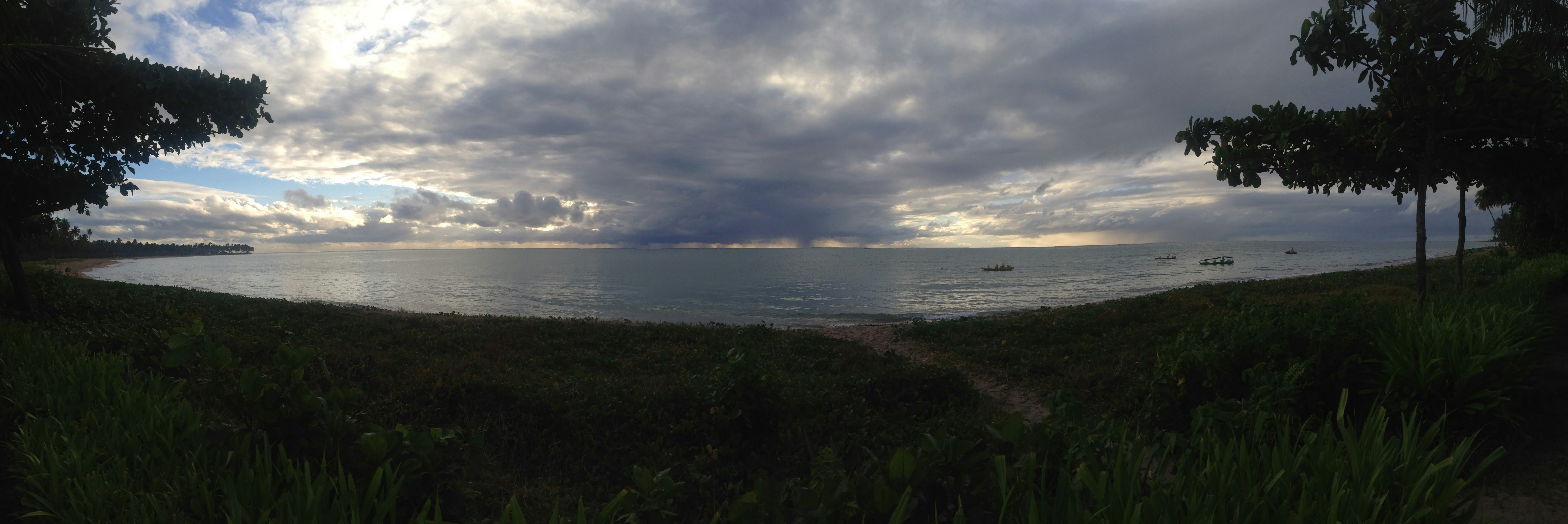 Free Unsplash photo from Carol Junior