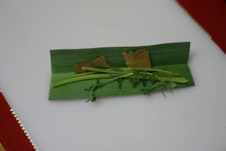 Close-up of fresh green herbal leaves arranged on a white background.