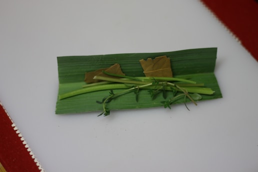 A collection of fresh herbs and dried leaves arranged on a green leaf, placed on a white surface with red edges.