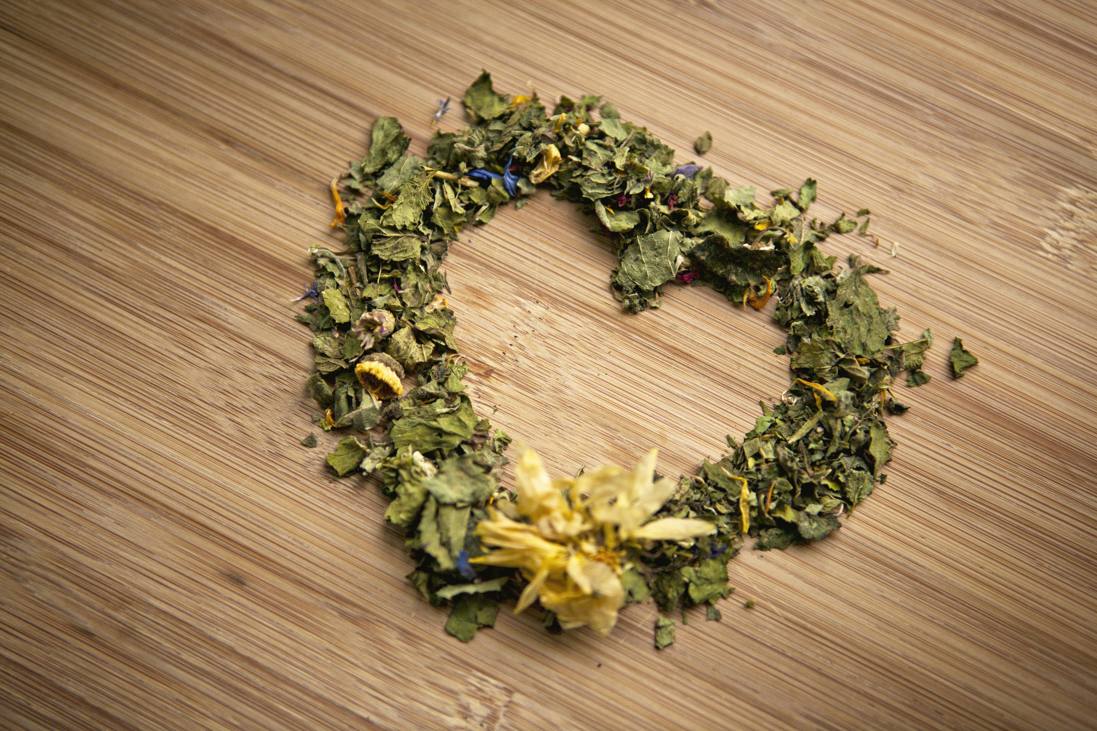 Free Unsplash photo from Cora Leucht