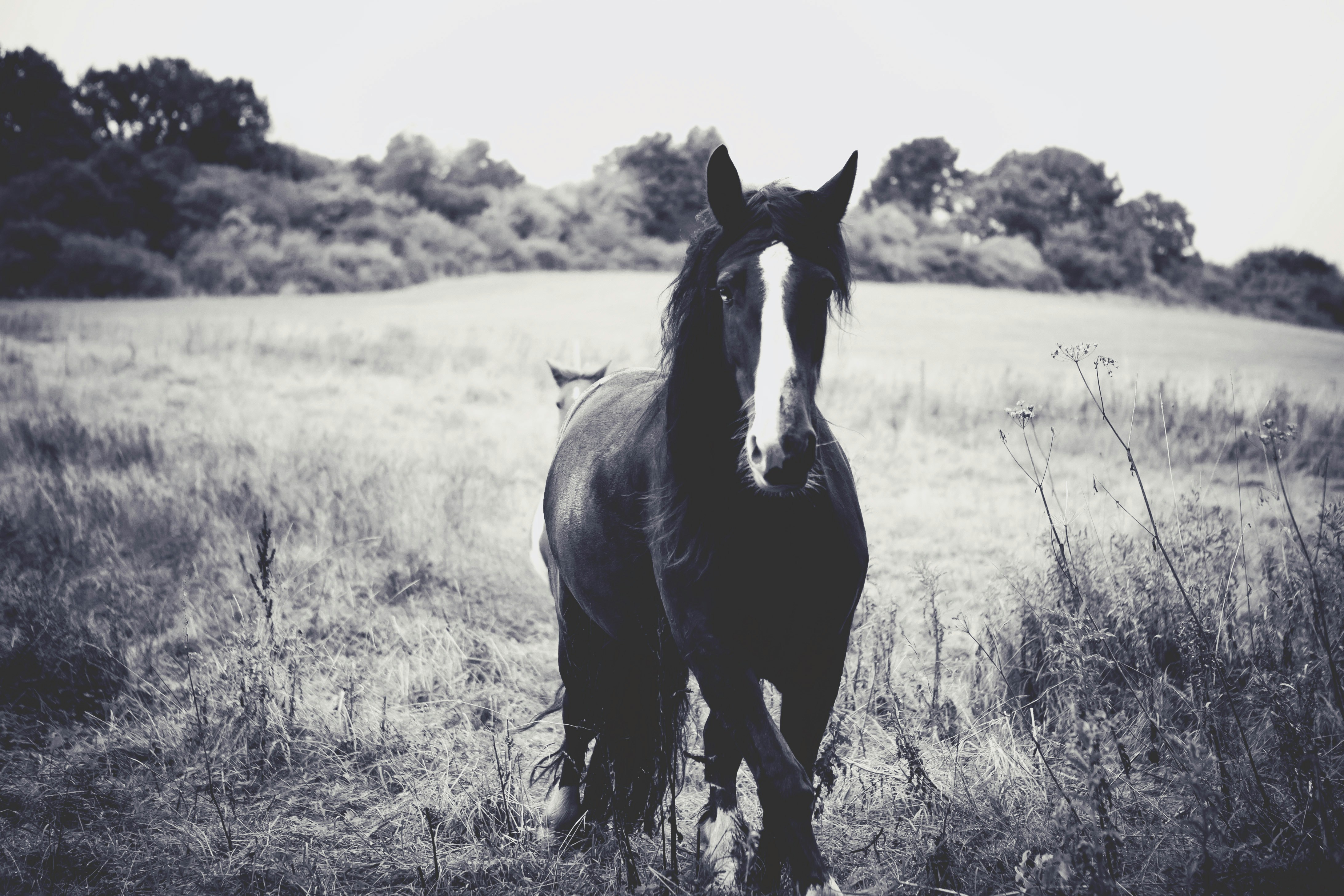 Free Unsplash photo from Cora Leucht