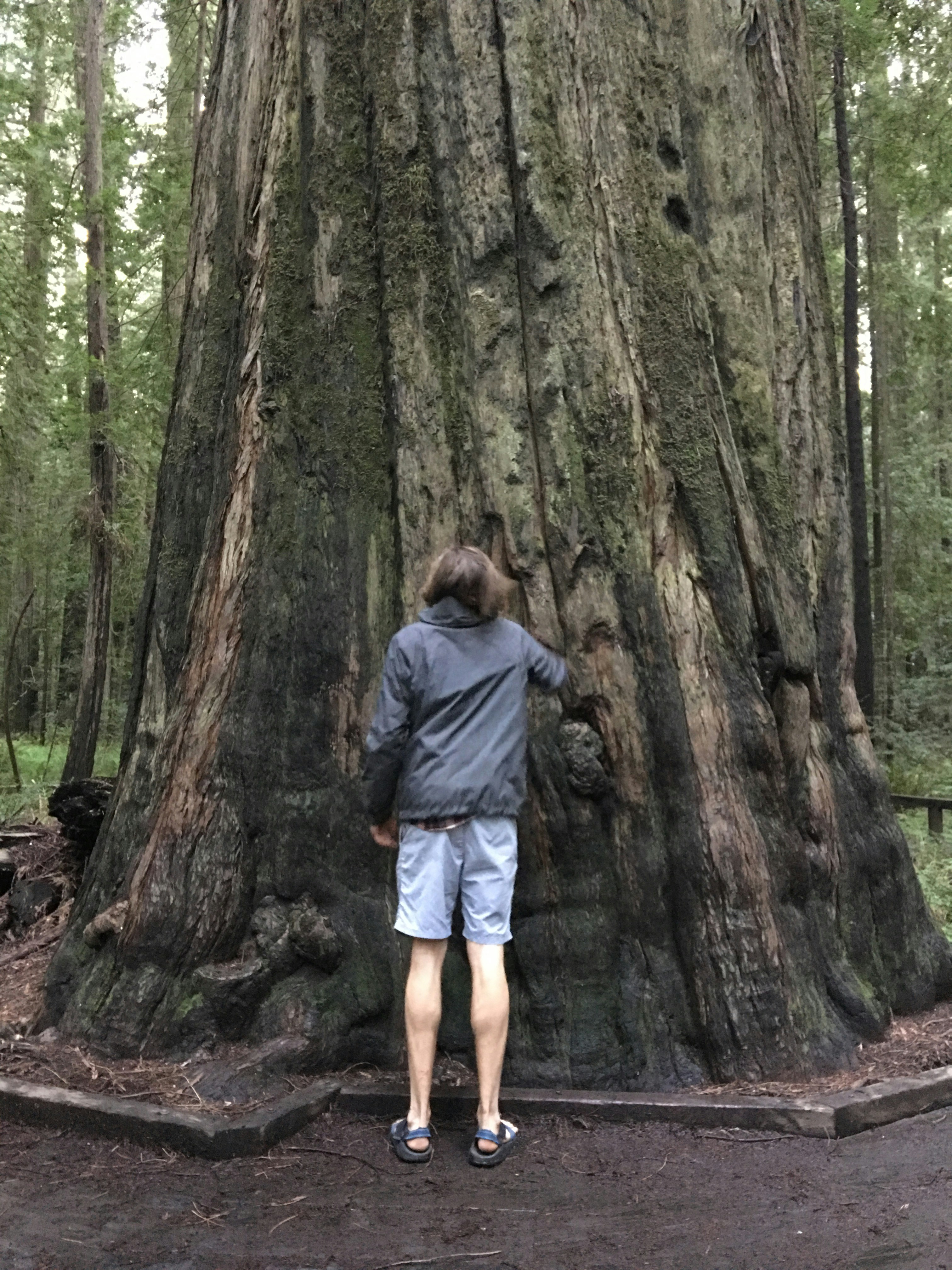 Free Unsplash photo from Andrew Tulloch