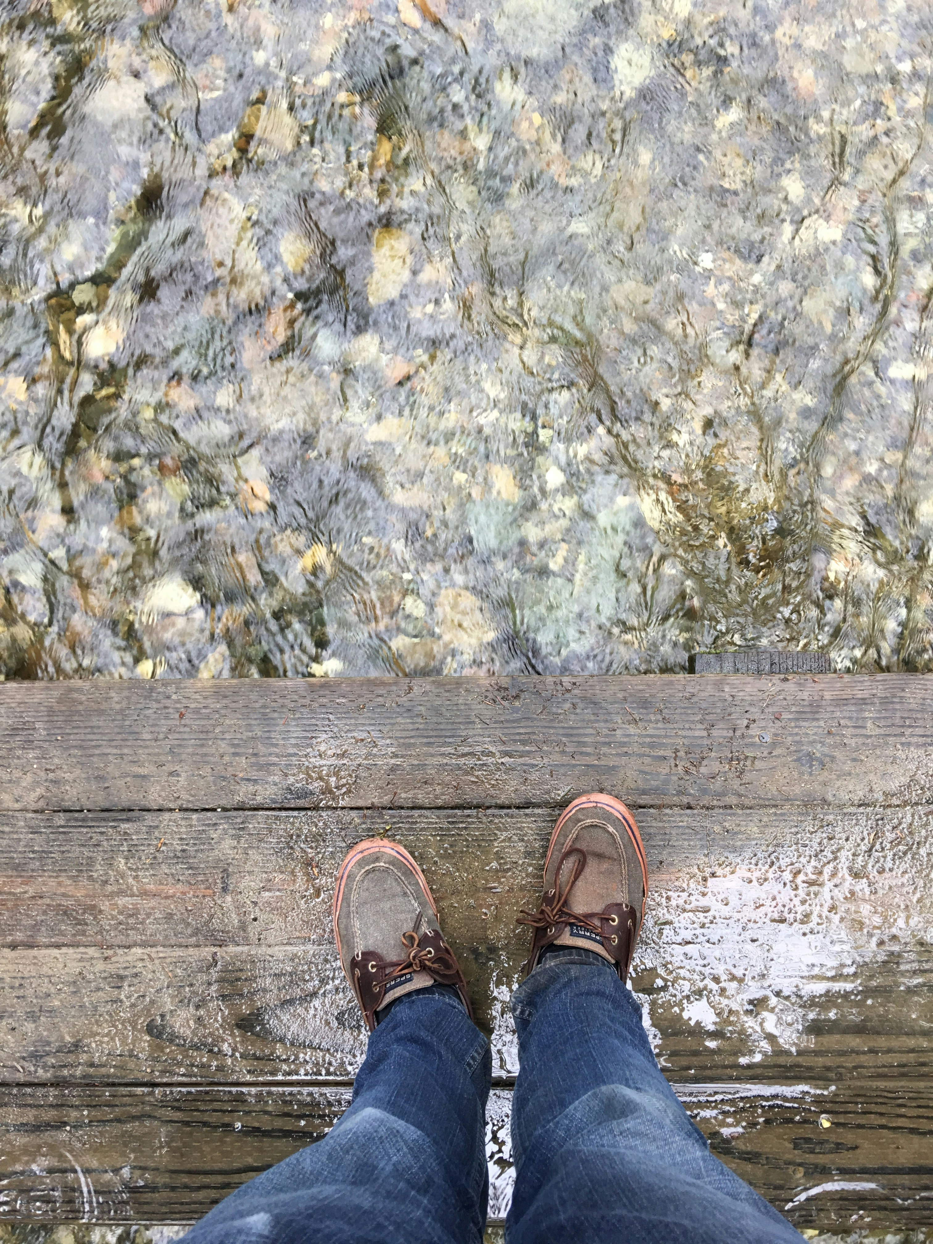 Free Unsplash photo from Andrew Tulloch