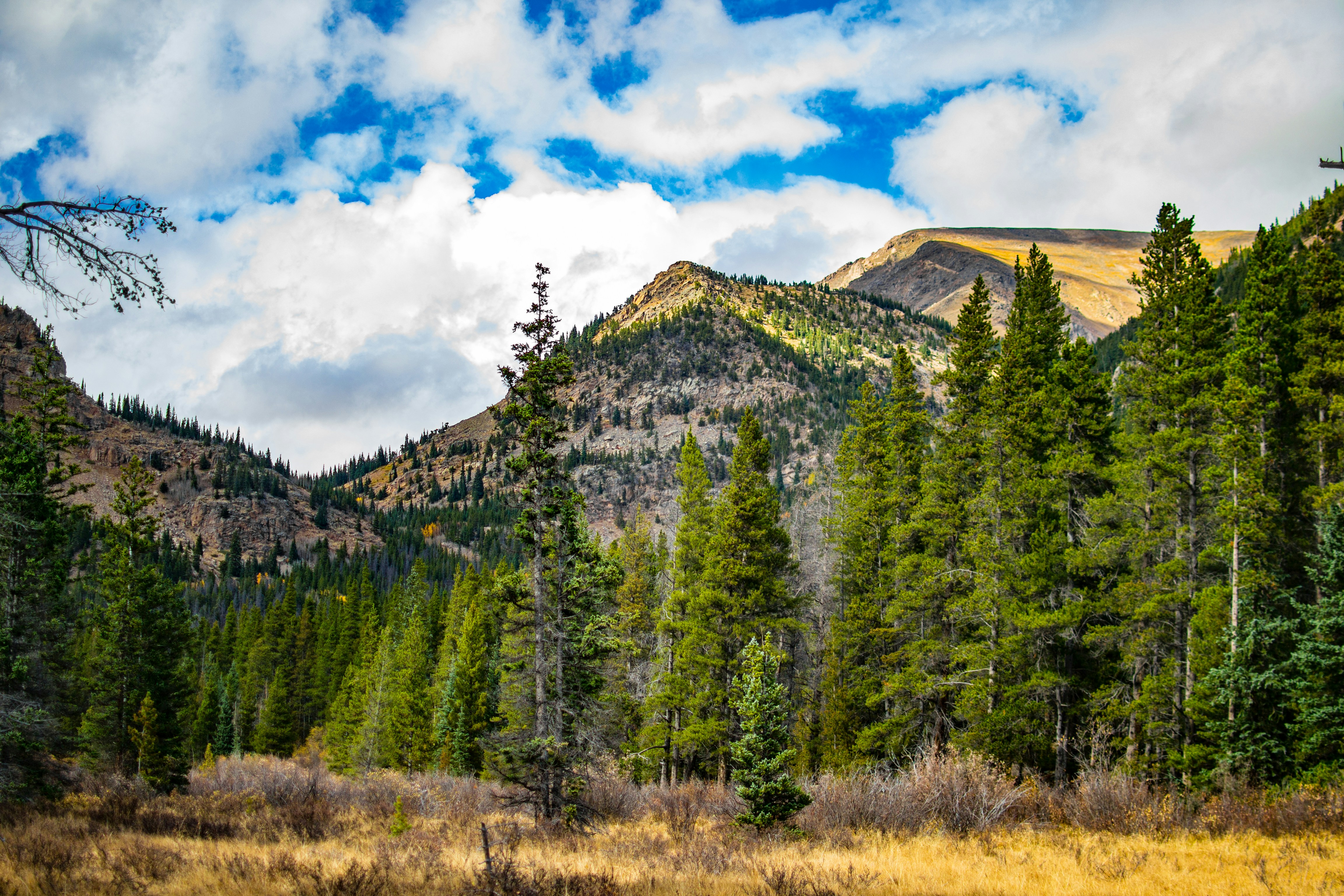 Free Unsplash photo from Nick Tiemeyer