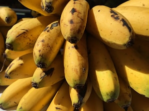 Close-up of finely processed banana fibers ready for industrial use, showcasing texture and quality.