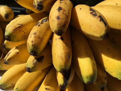 Close-up of finely processed banana fibers ready for industrial use, showcasing texture and quality.