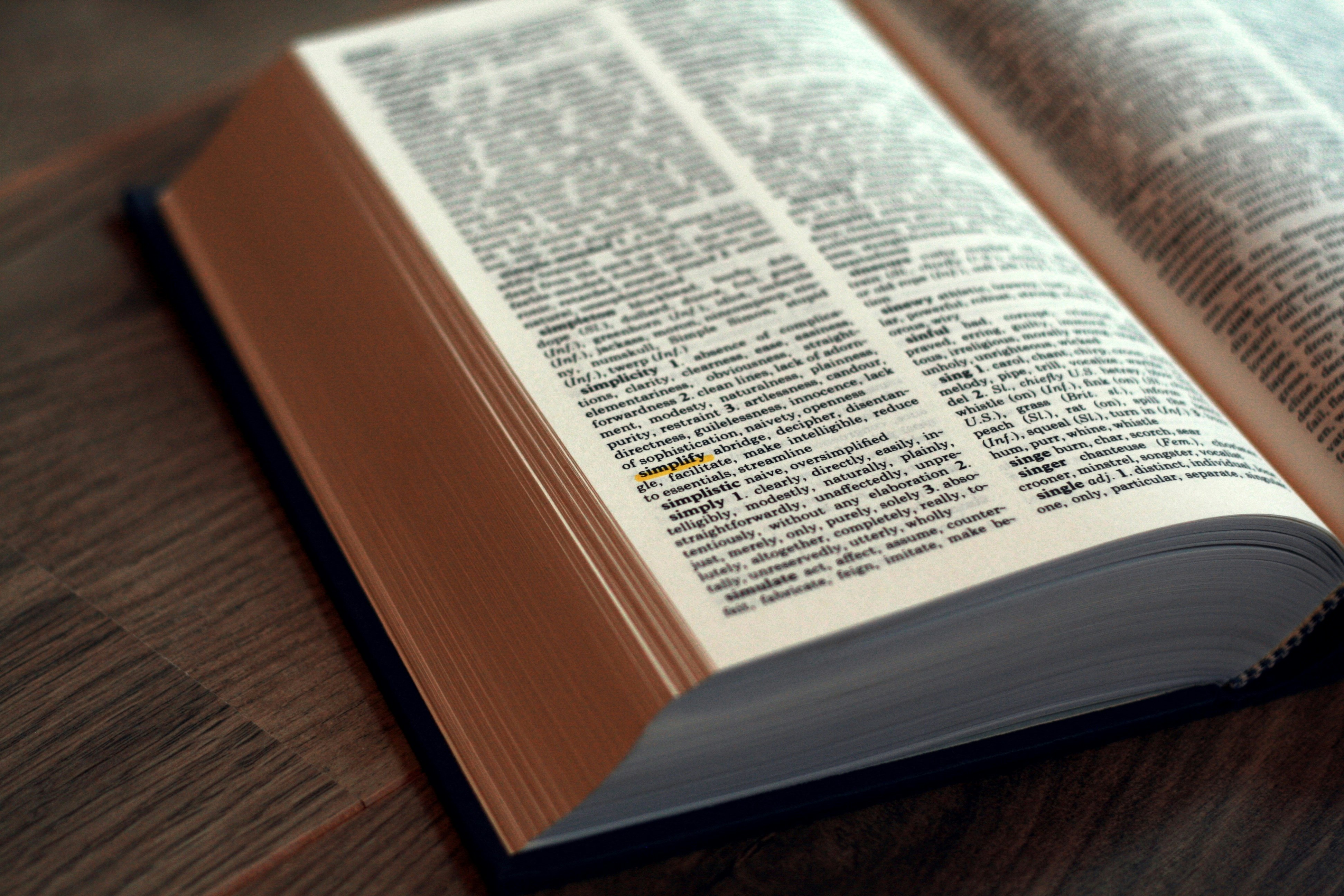 Free Unsplash photo from Jorien T