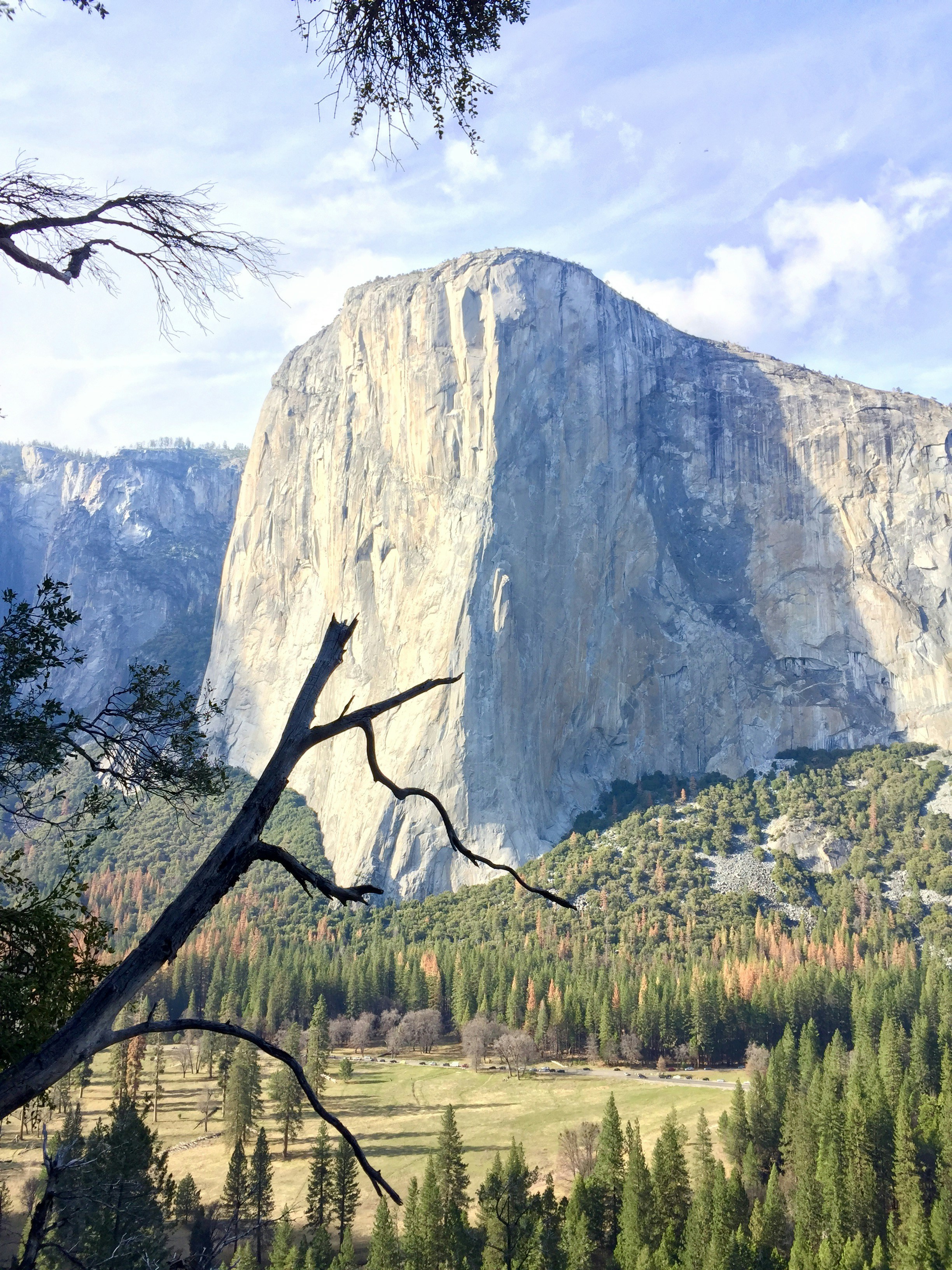 Free Unsplash photo from Billy Onjea