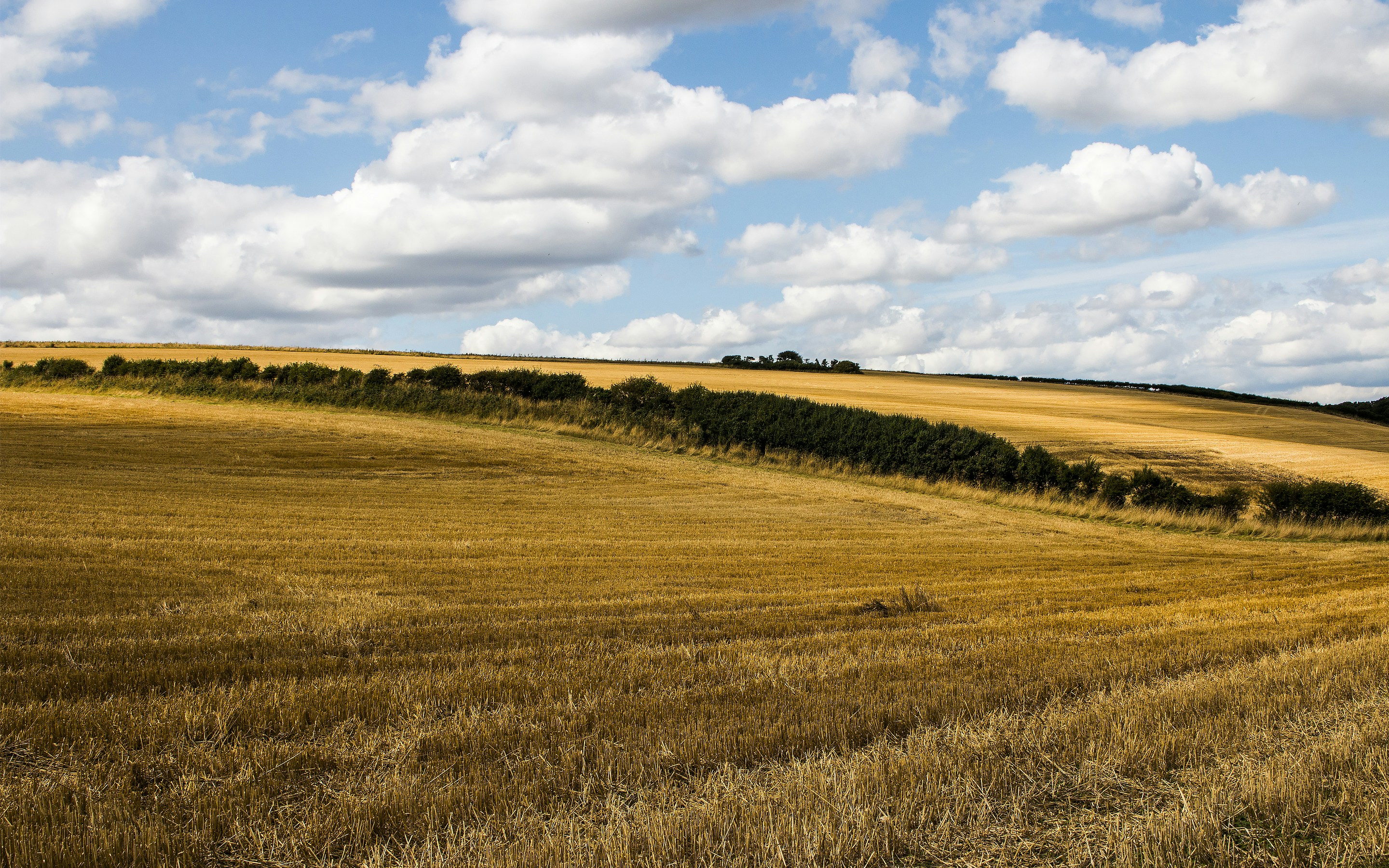 Free Unsplash photo from Kanishk Bhardwaj