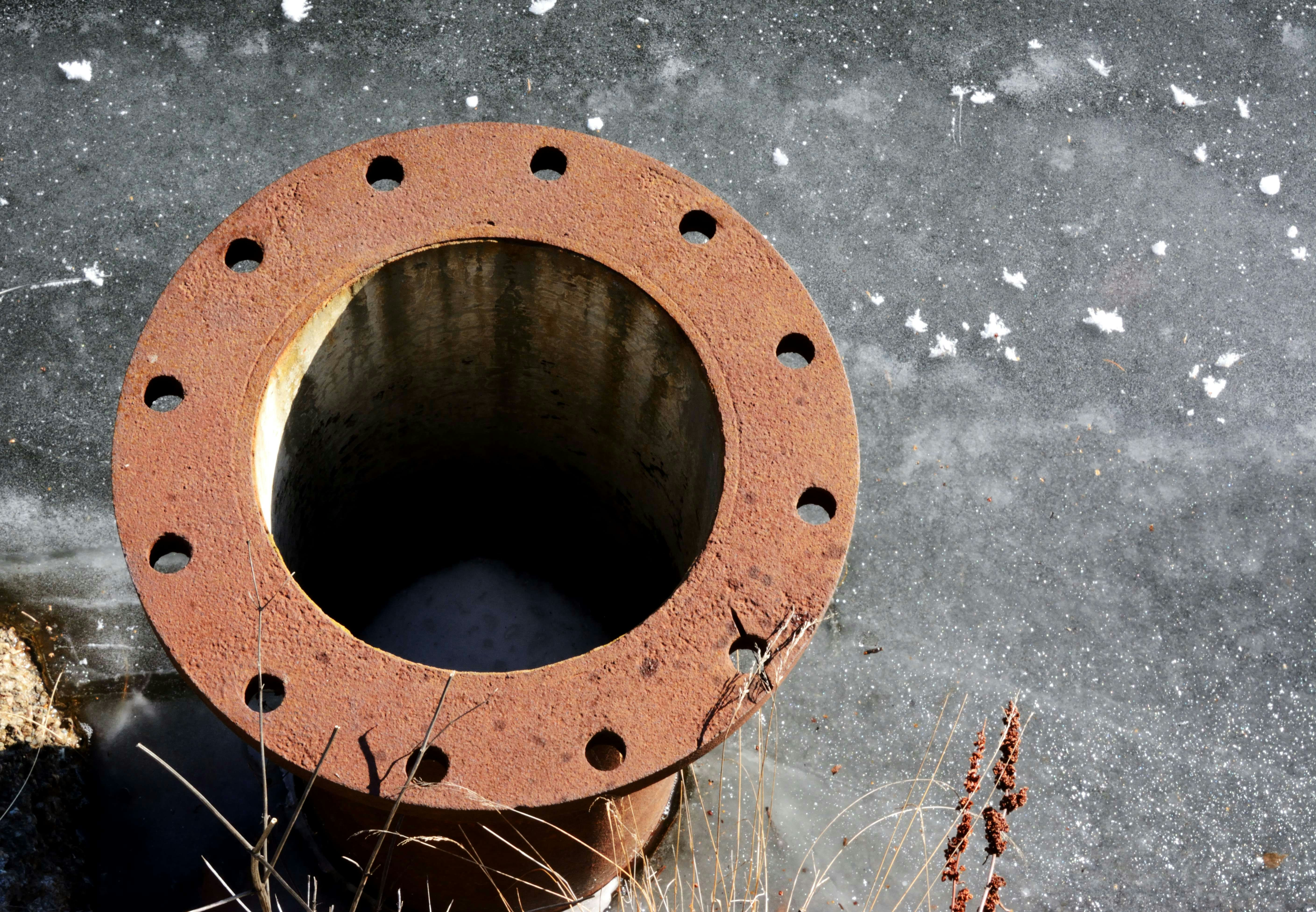 Free Unsplash photo from Steven Branson