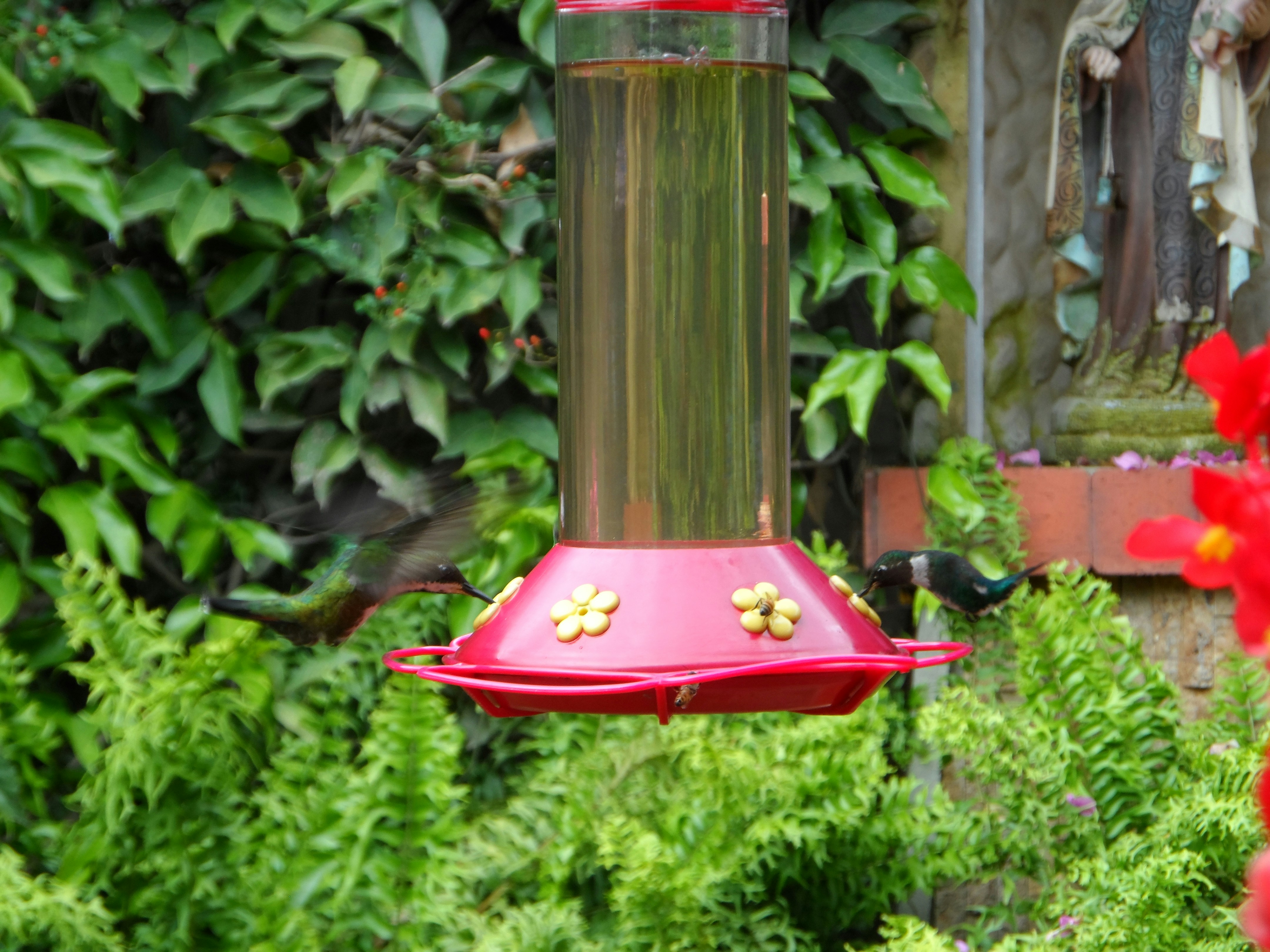 Free Unsplash photo from Oscar Santiago