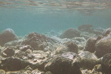 An underwater scene with various large rocks scattered across the sandy ocean floor, softly illuminated by diffused natural light. A small fish is seen swimming in the middle of the image, blending with the surrounding elements.
