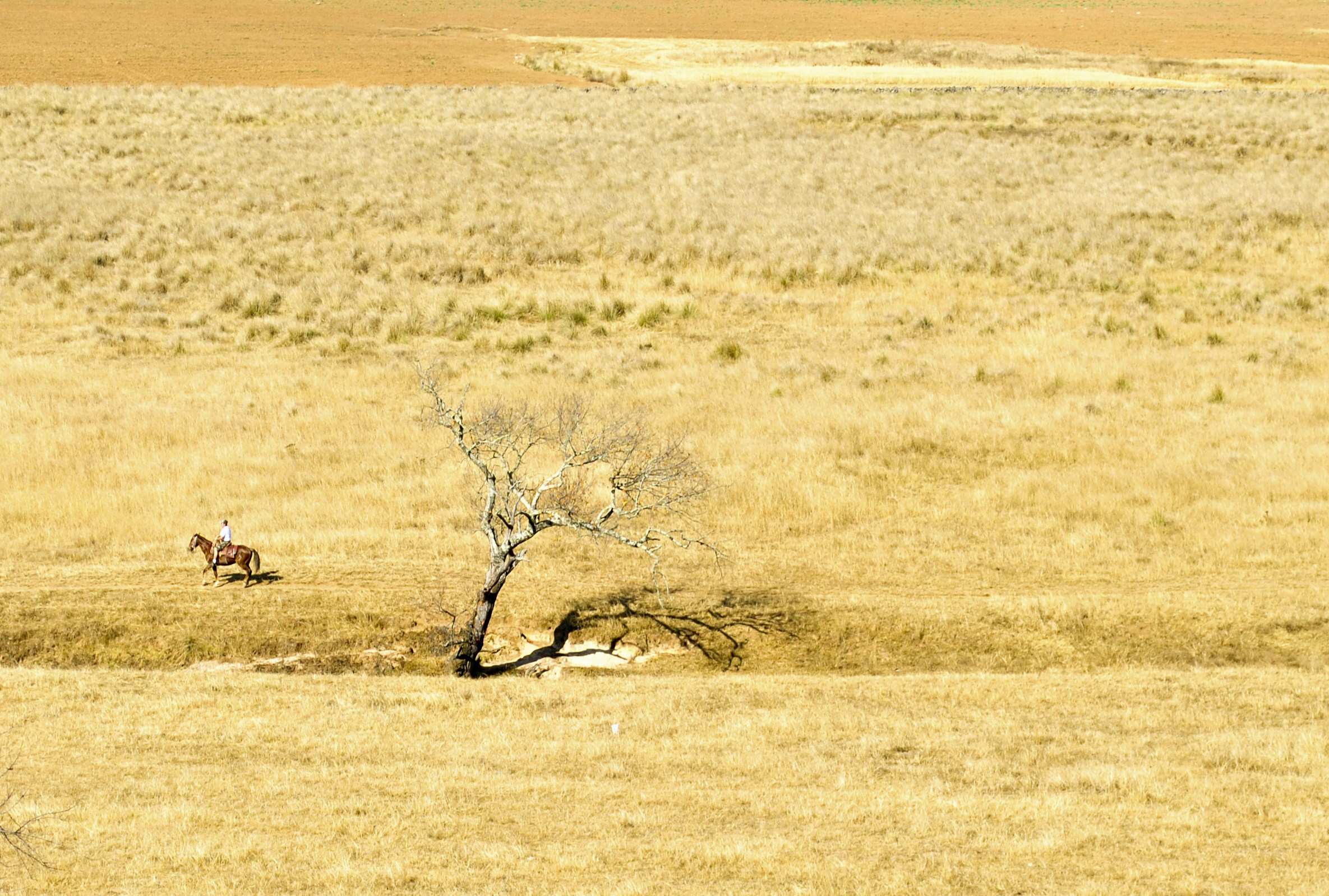 Free Unsplash photo from Eduardo Cortes