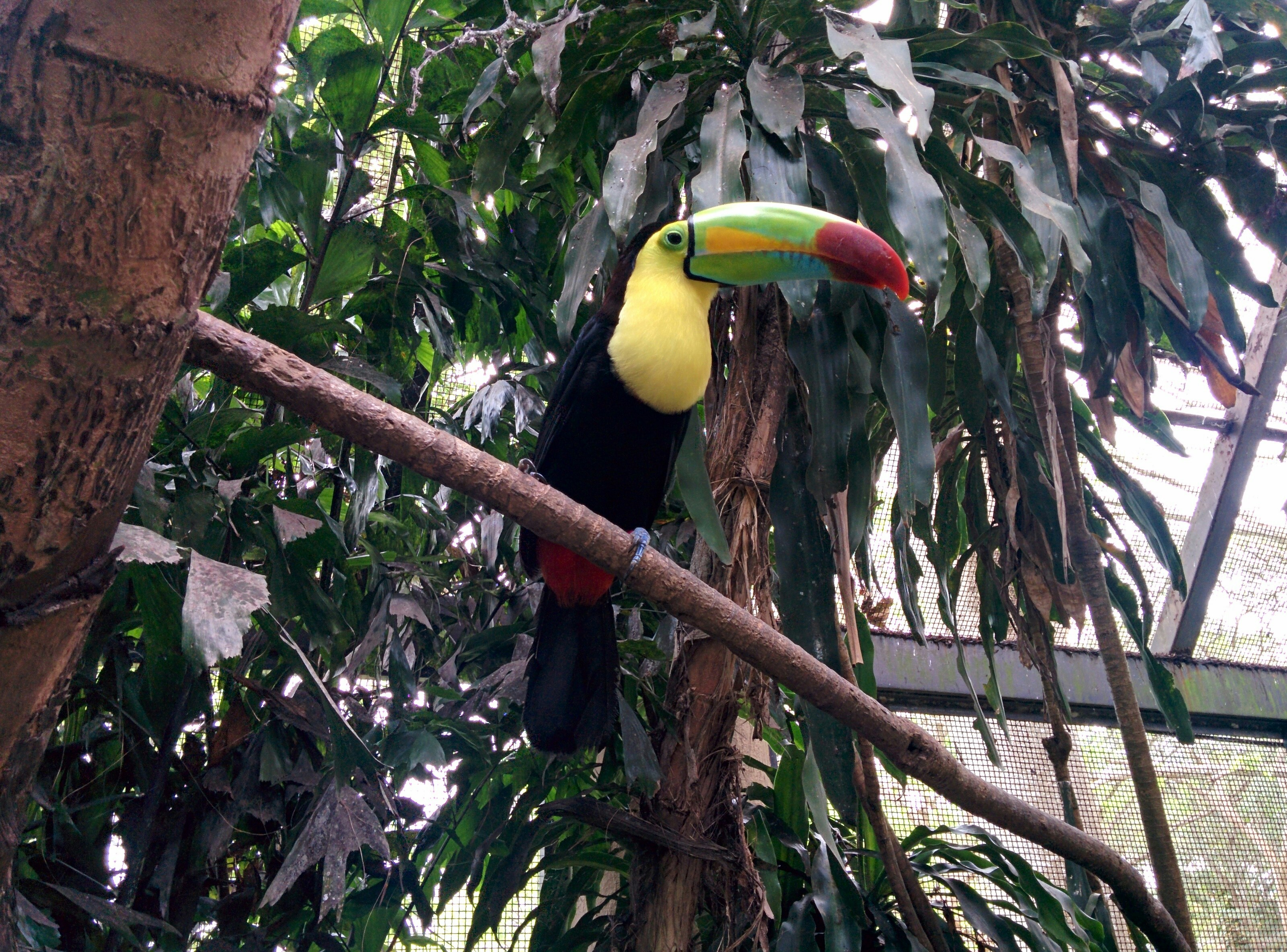 Free Unsplash photo from Michel Valencia