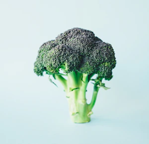 Broccoli