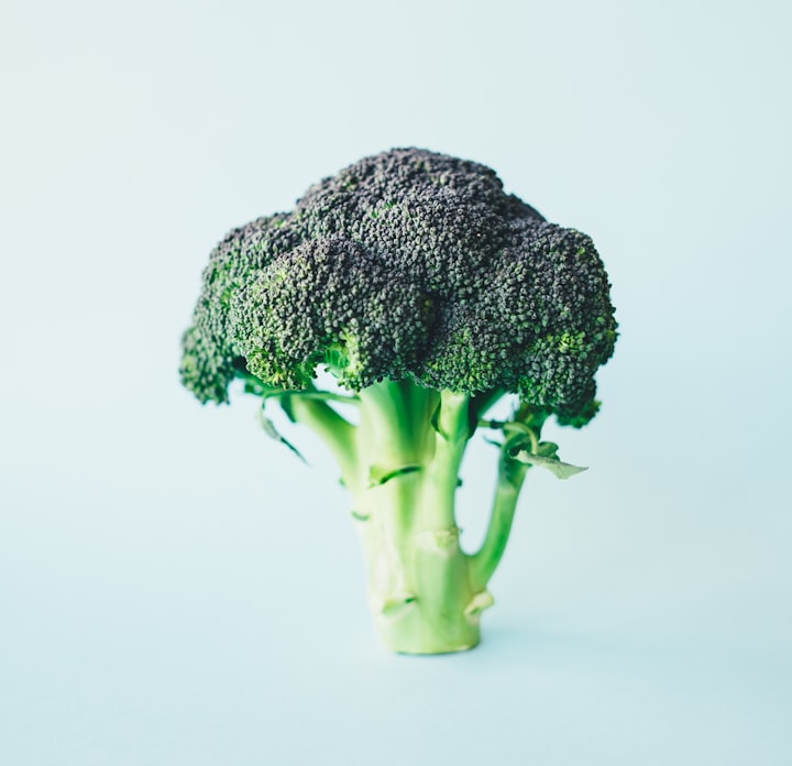 The Broccoli Battle: A Tale of Parenthood, Picky Eaters, and Unexpected Lessons