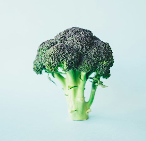 腾龙有机嫩西兰花 - 花球紧实
