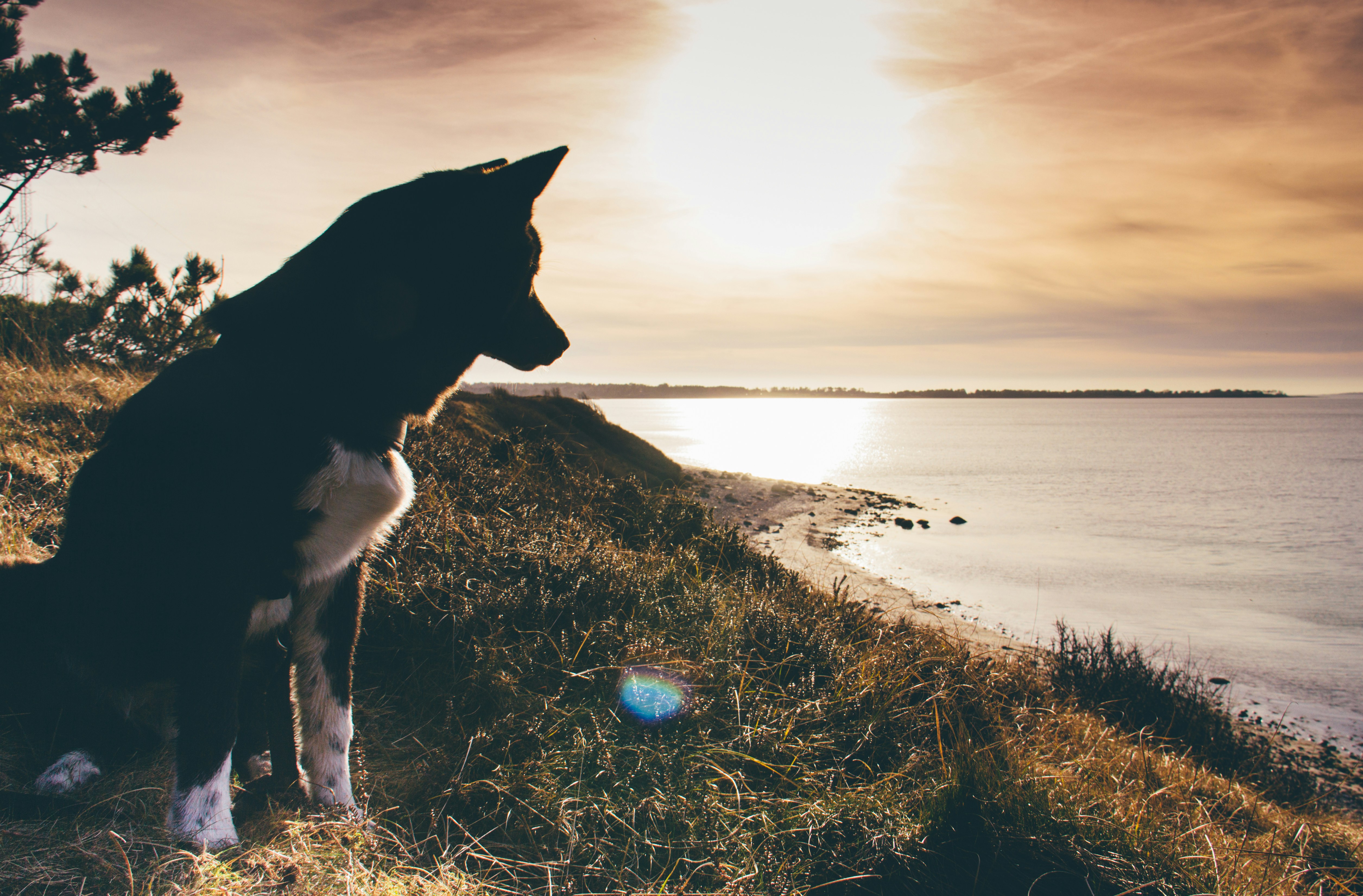 Free Unsplash photo from Tarik Arnautović