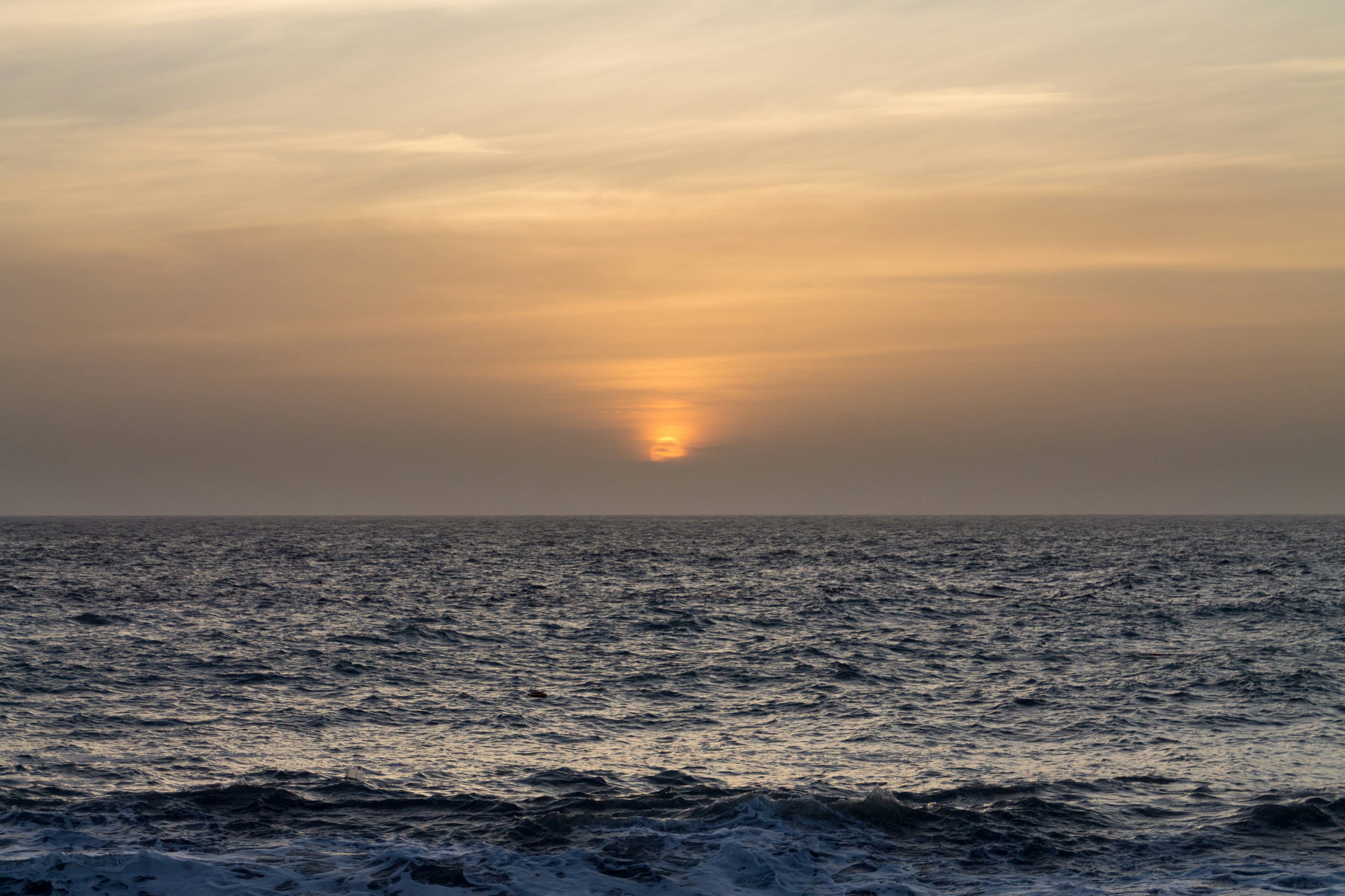 Free Unsplash photo from Mathijs Vos