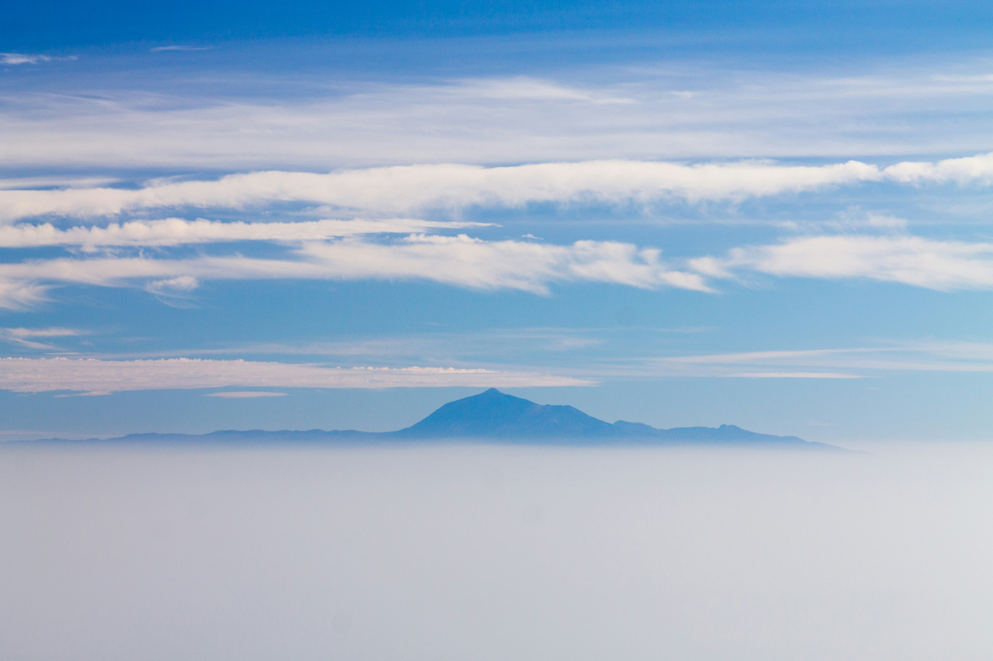 Free Unsplash photo from Mathijs Vos