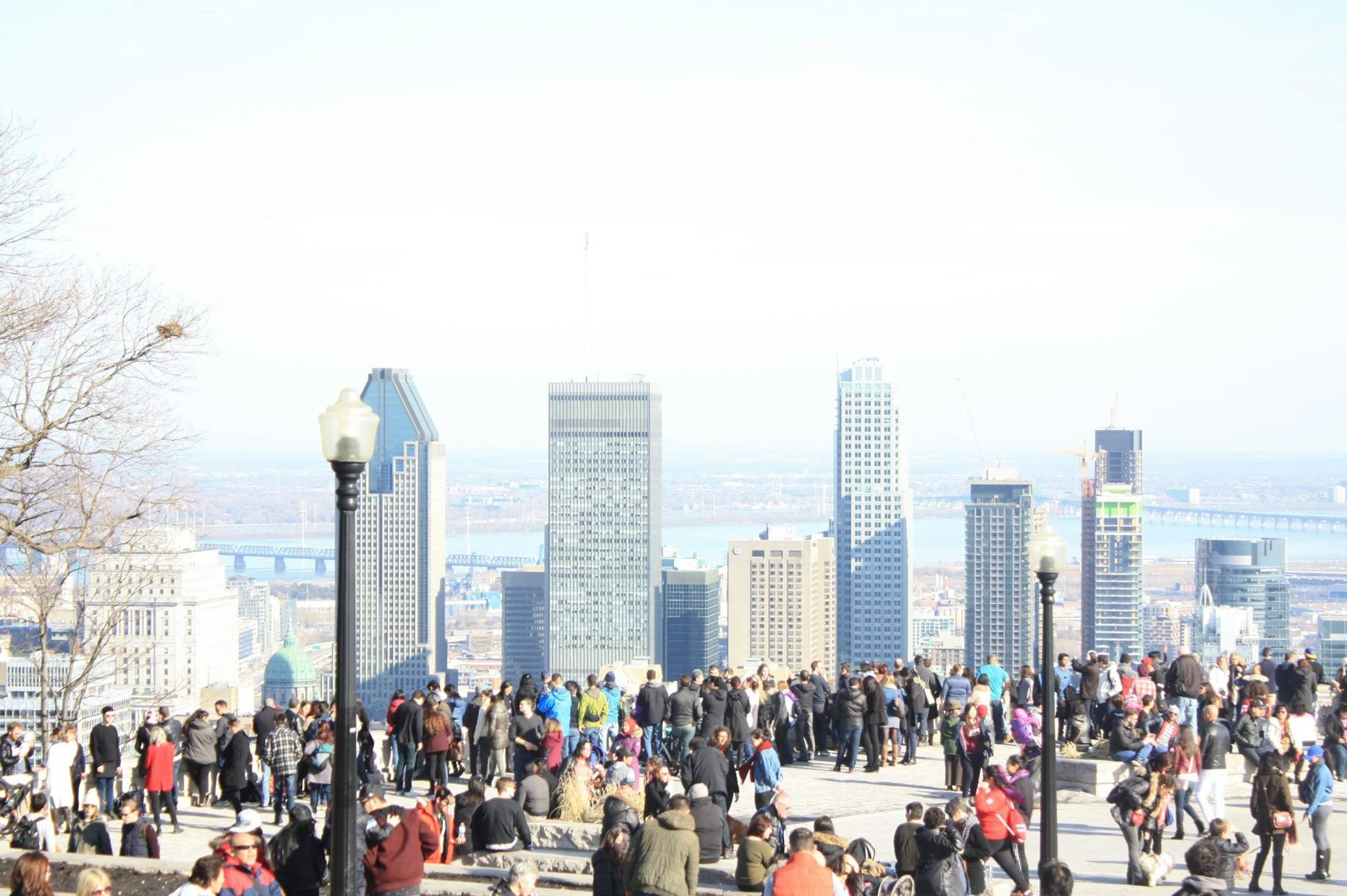 Free Unsplash photo from Stefan Trivuncic