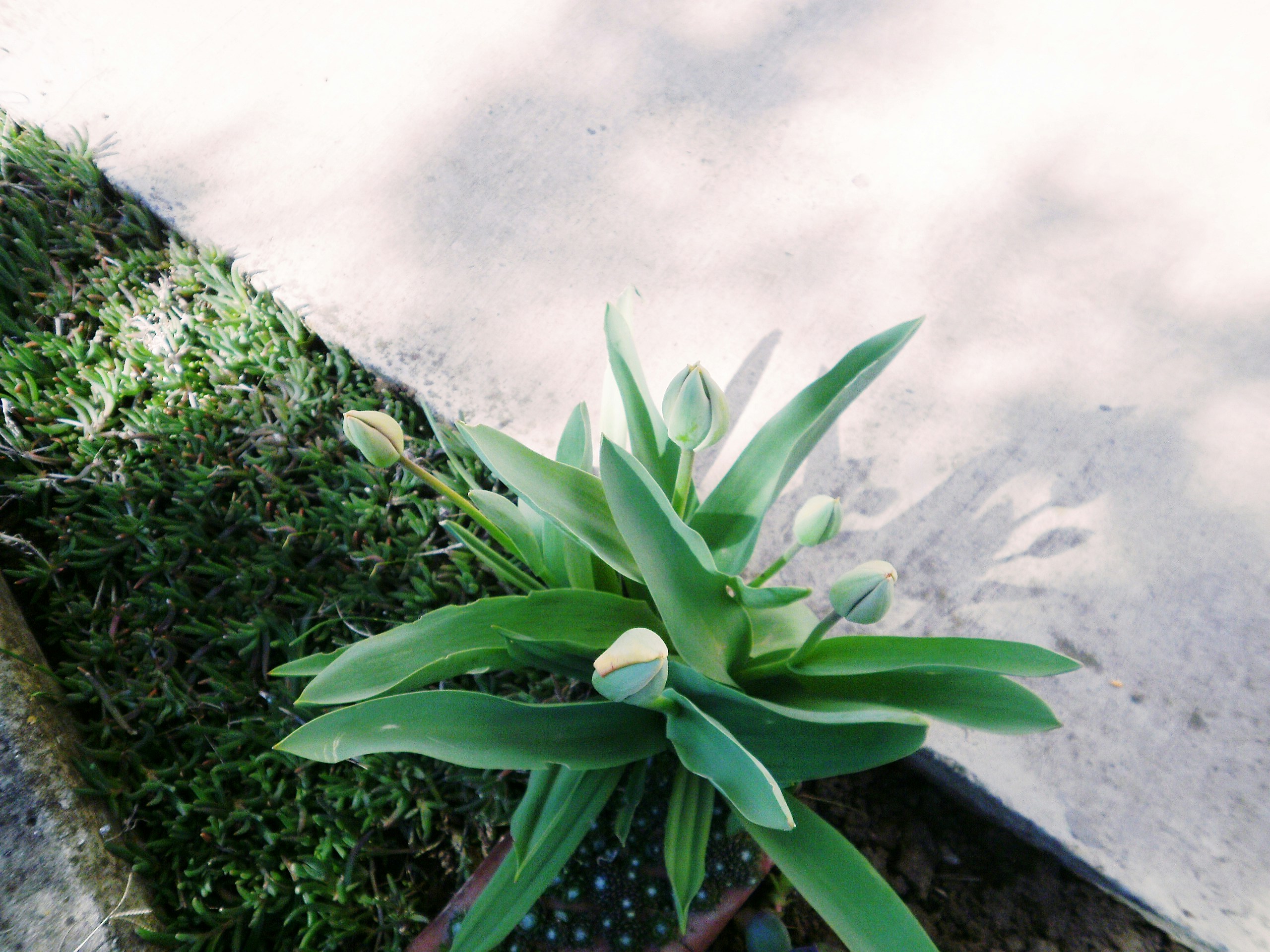 Free Unsplash photo from Kata Osto