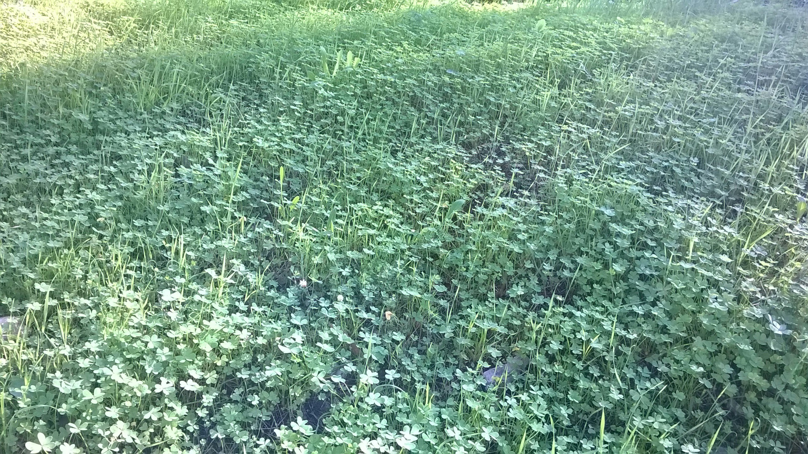 Free Unsplash photo from picskit