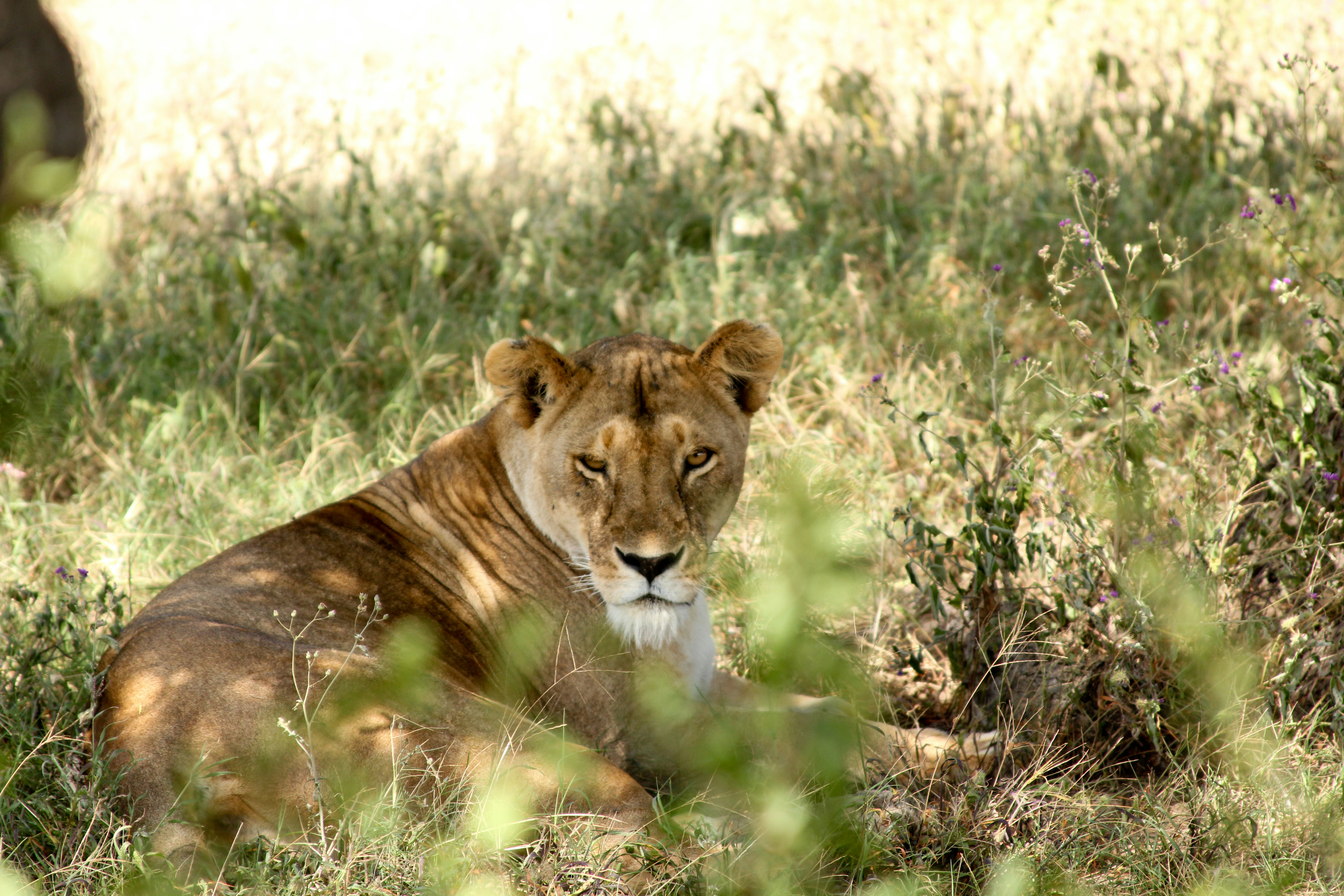 Photo By Timon Studler