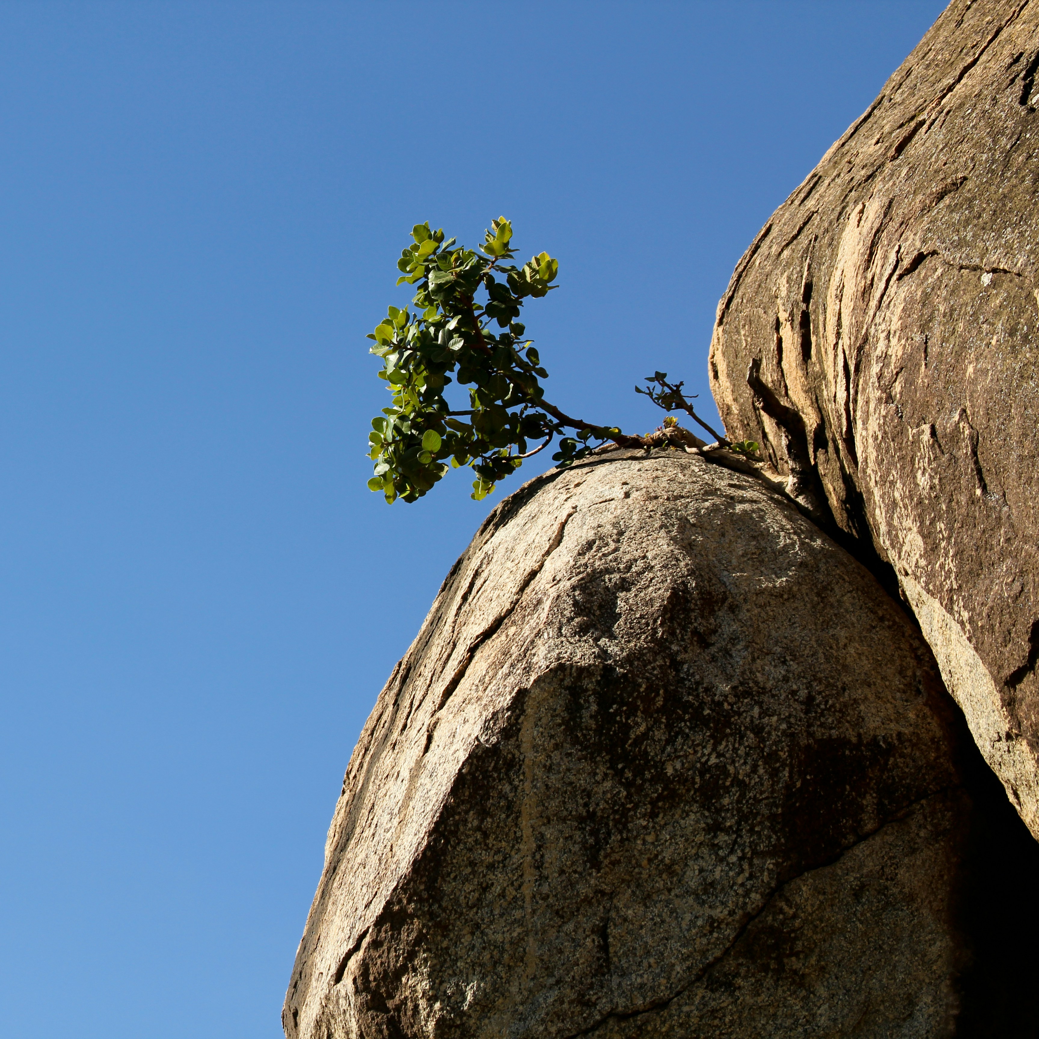 Photo By Timon Studler