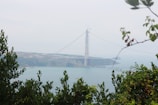 Tall pylons of a bridge under construction stretch across a body of water, framed by green foliage in the foreground. The structure spans over a hilly landscape under a hazy sky.