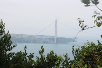 Tall pylons of a bridge under construction stretch across a body of water, framed by green foliage in the foreground. The structure spans over a hilly landscape under a hazy sky.