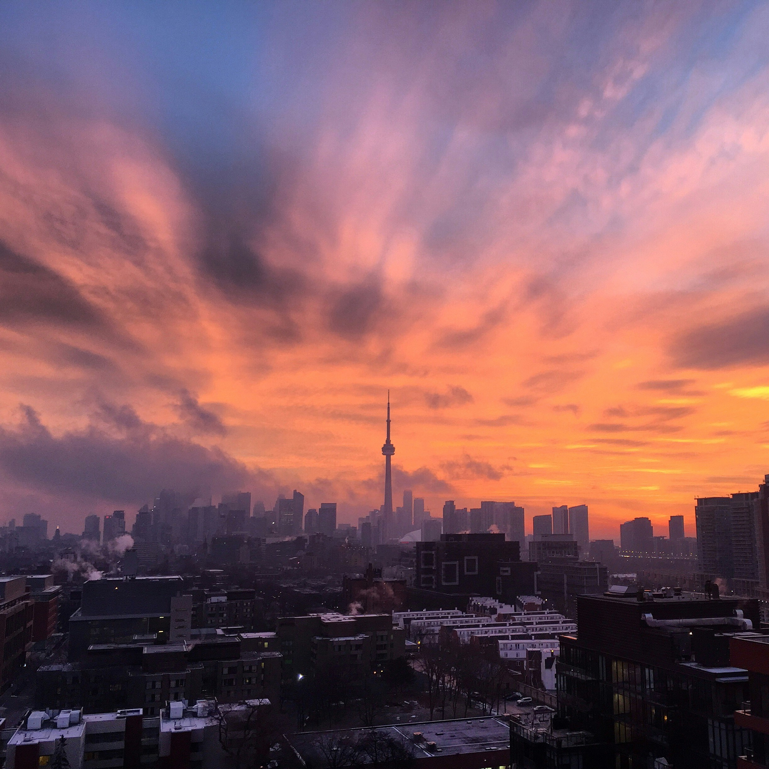 Free Unsplash photo from Jen Serdetchnaia