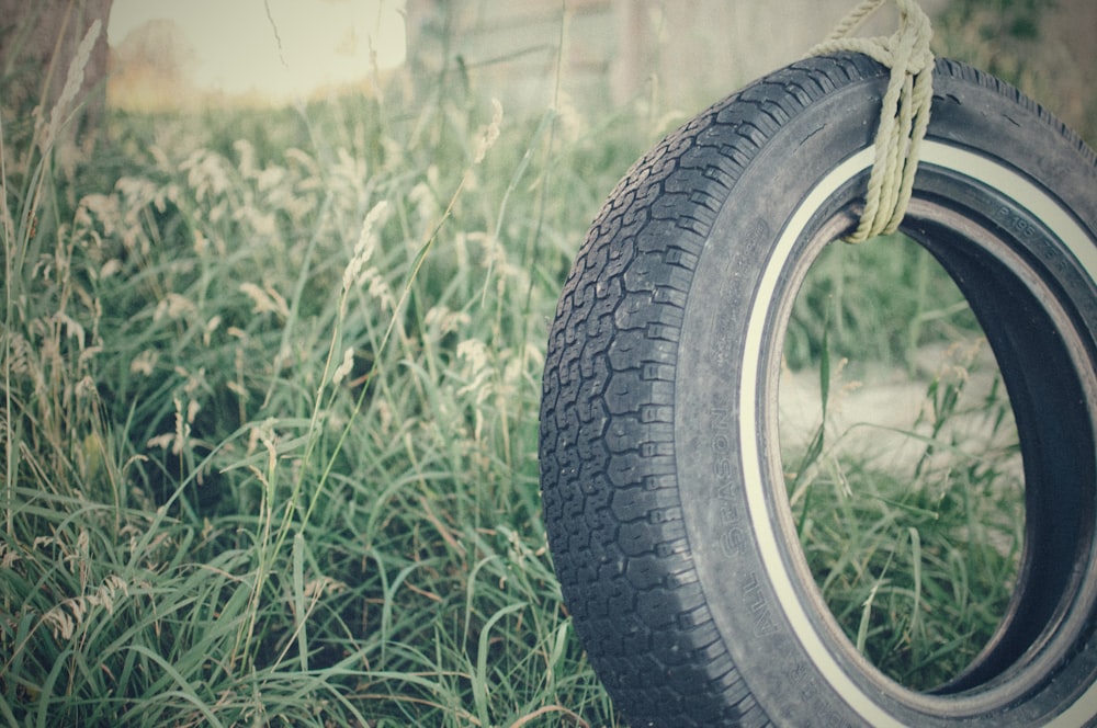 vehicle tire swing