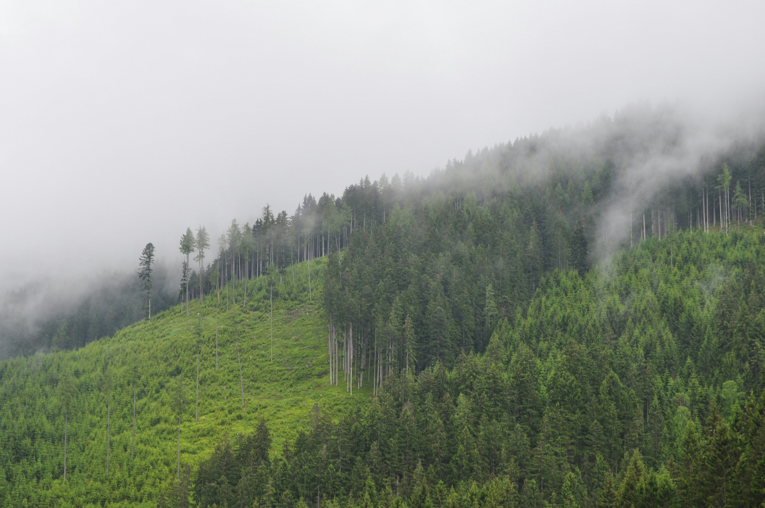 Free Unsplash photo from Angela