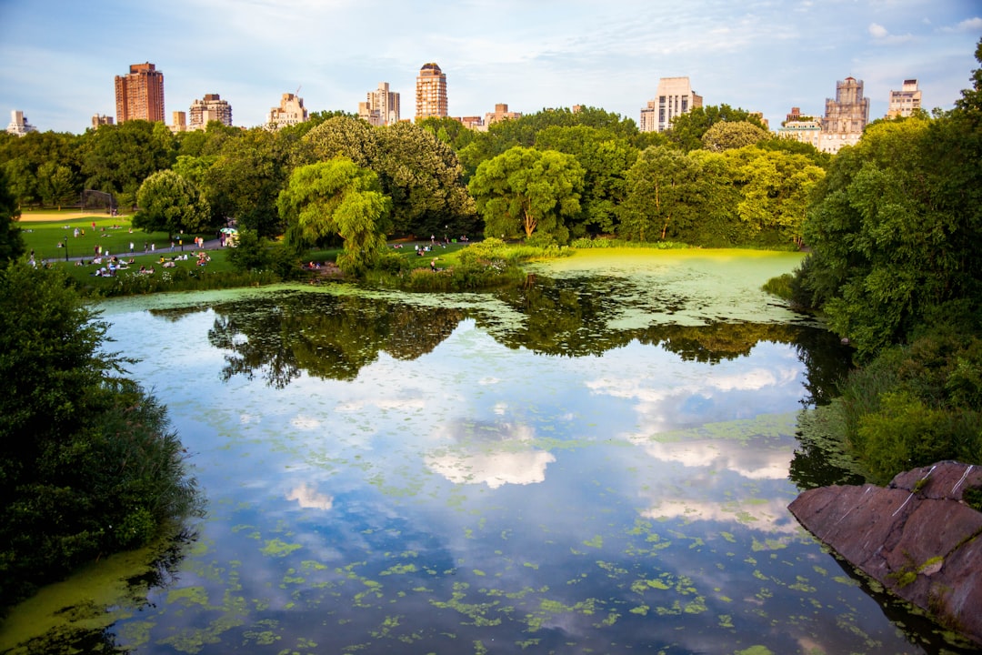 green trees near body of water, The world turned upside down