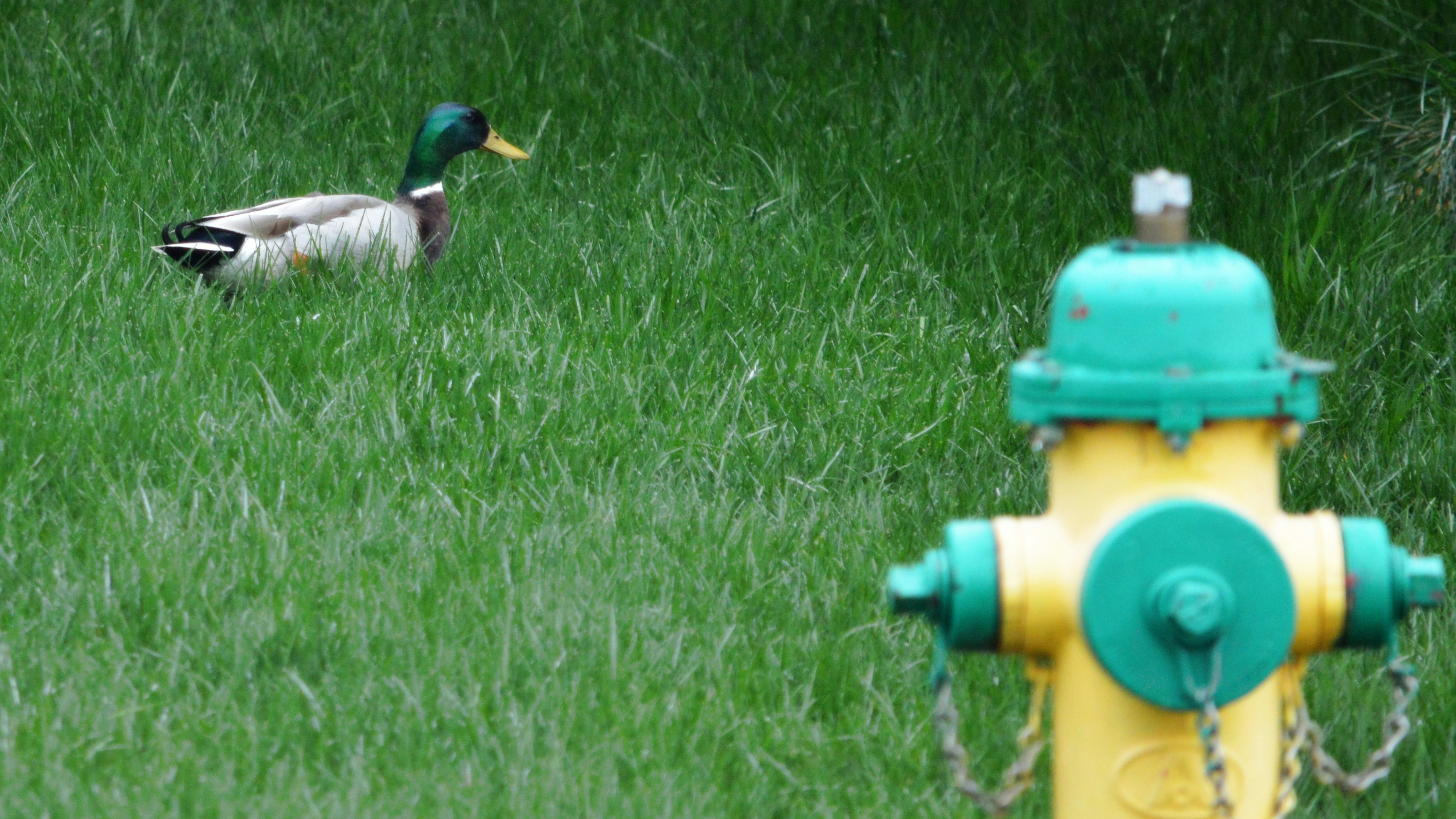 Free Unsplash photo from Justin Smith