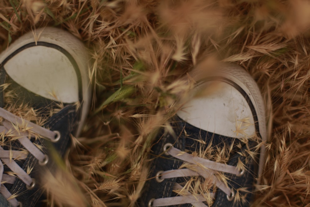 Par de zapatos blancos y negros rodeados de hierbas secas marrones