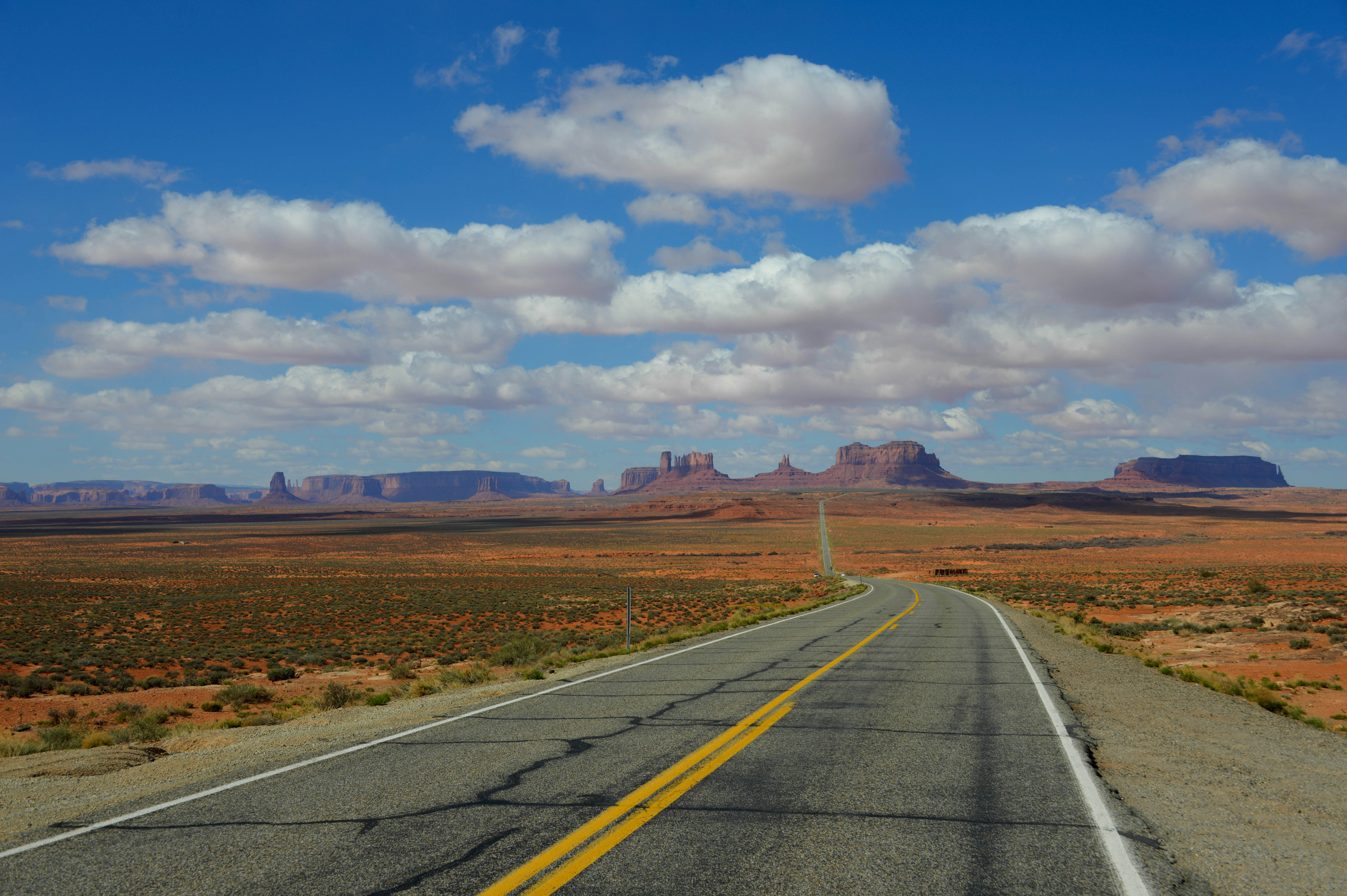 Free Unsplash photo from Carlo Lisa