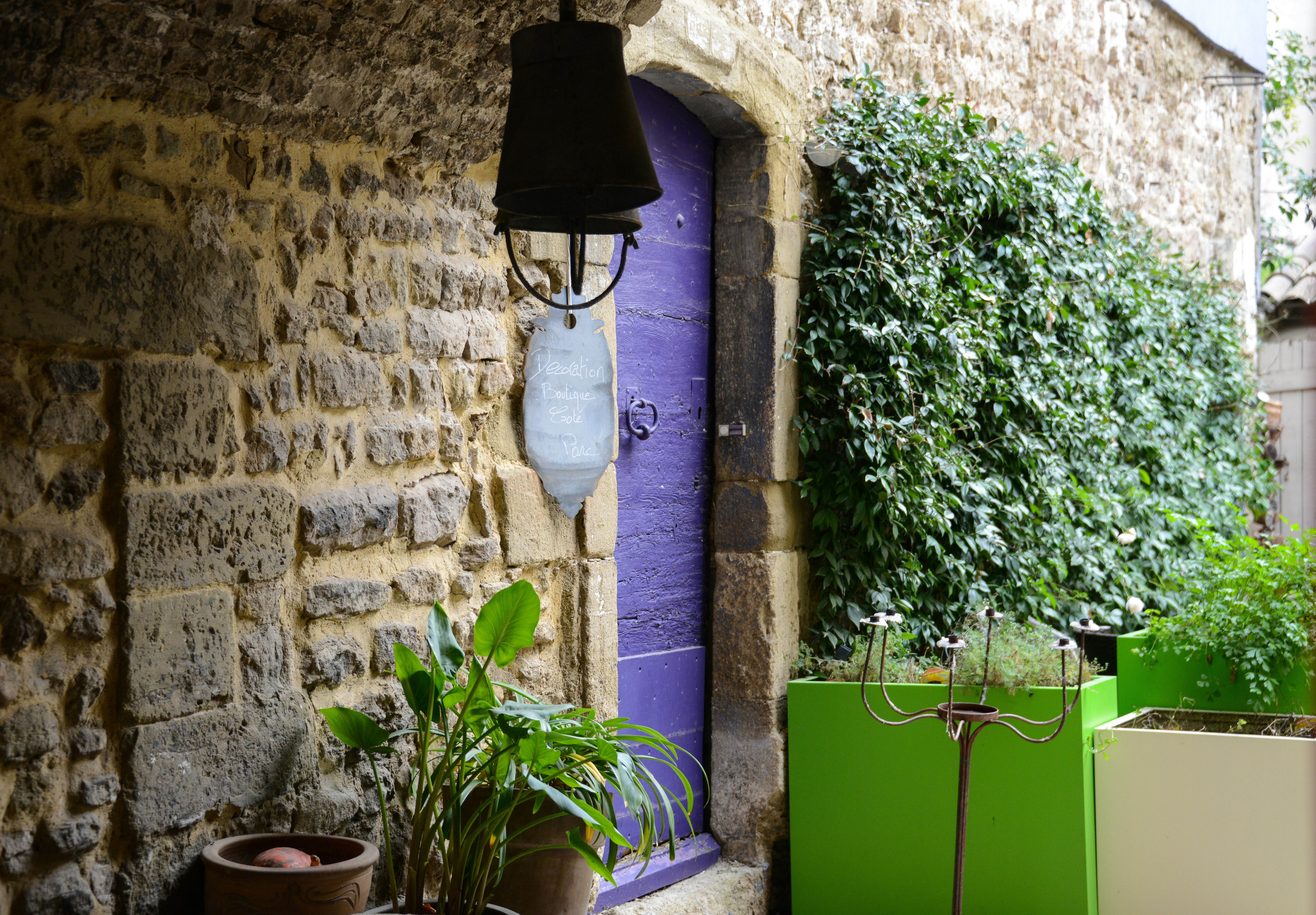 Free Unsplash photo from Carlo Lisa