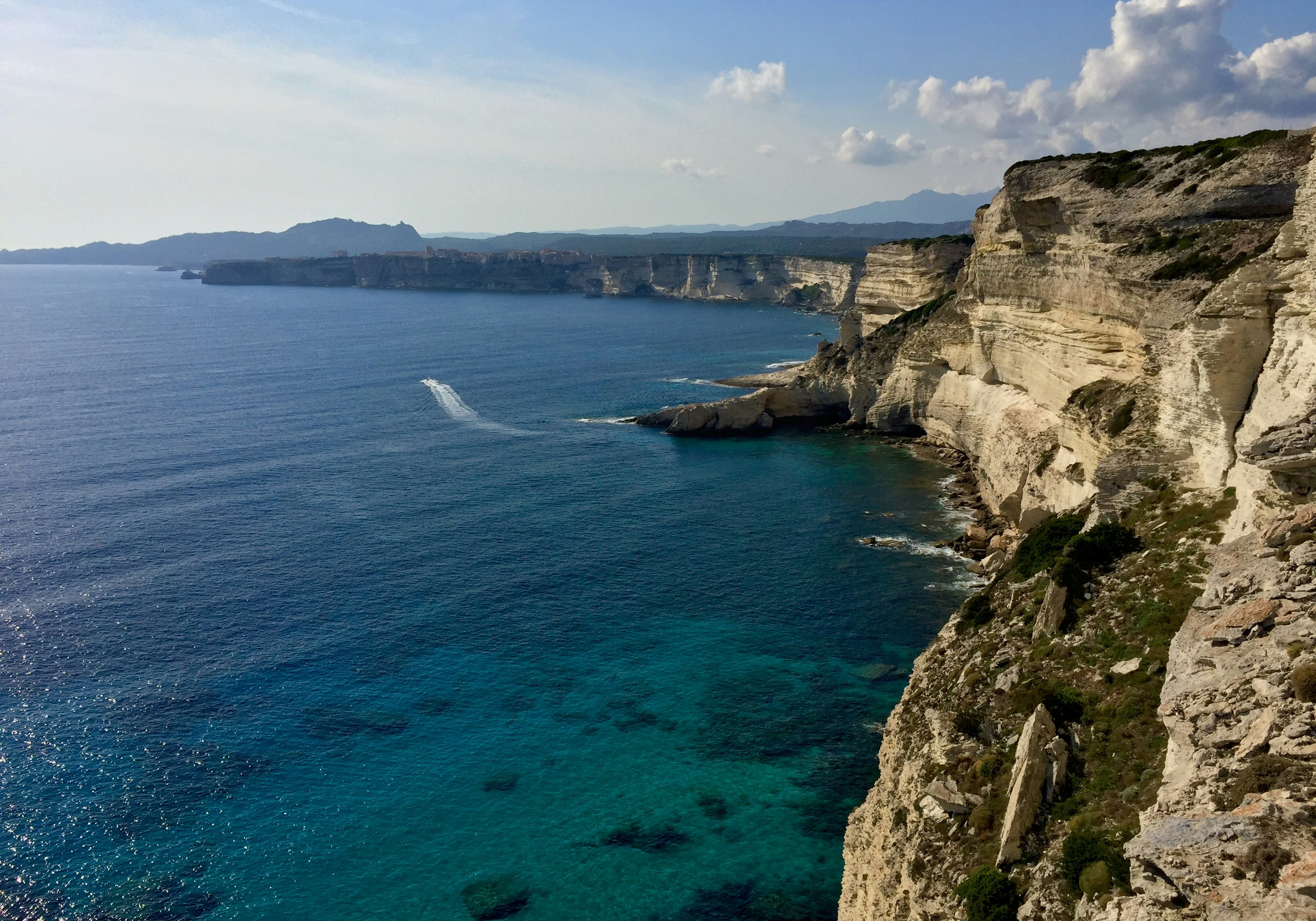 Free Unsplash photo from Carlo Lisa