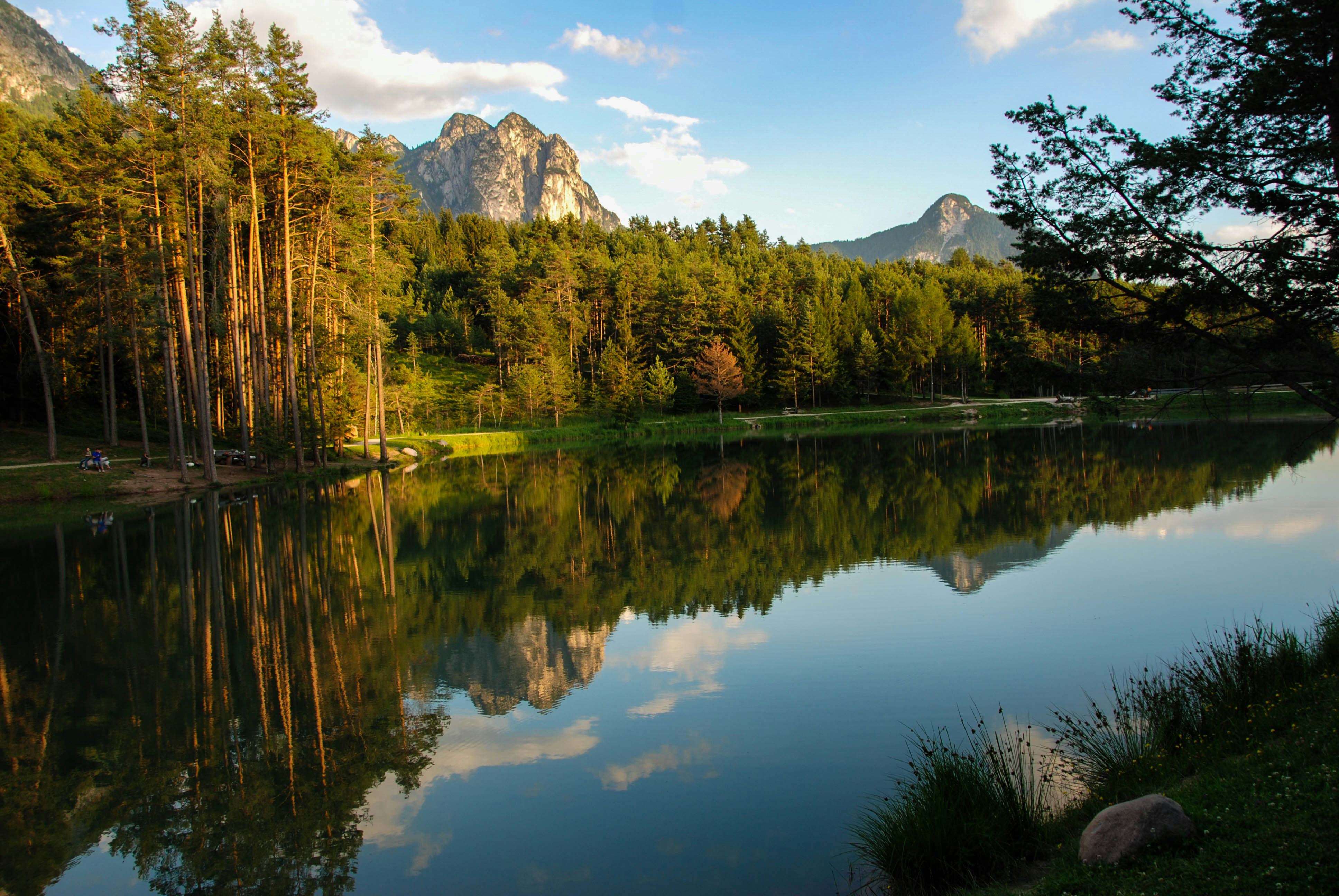 Free Unsplash photo from Carlo Lisa