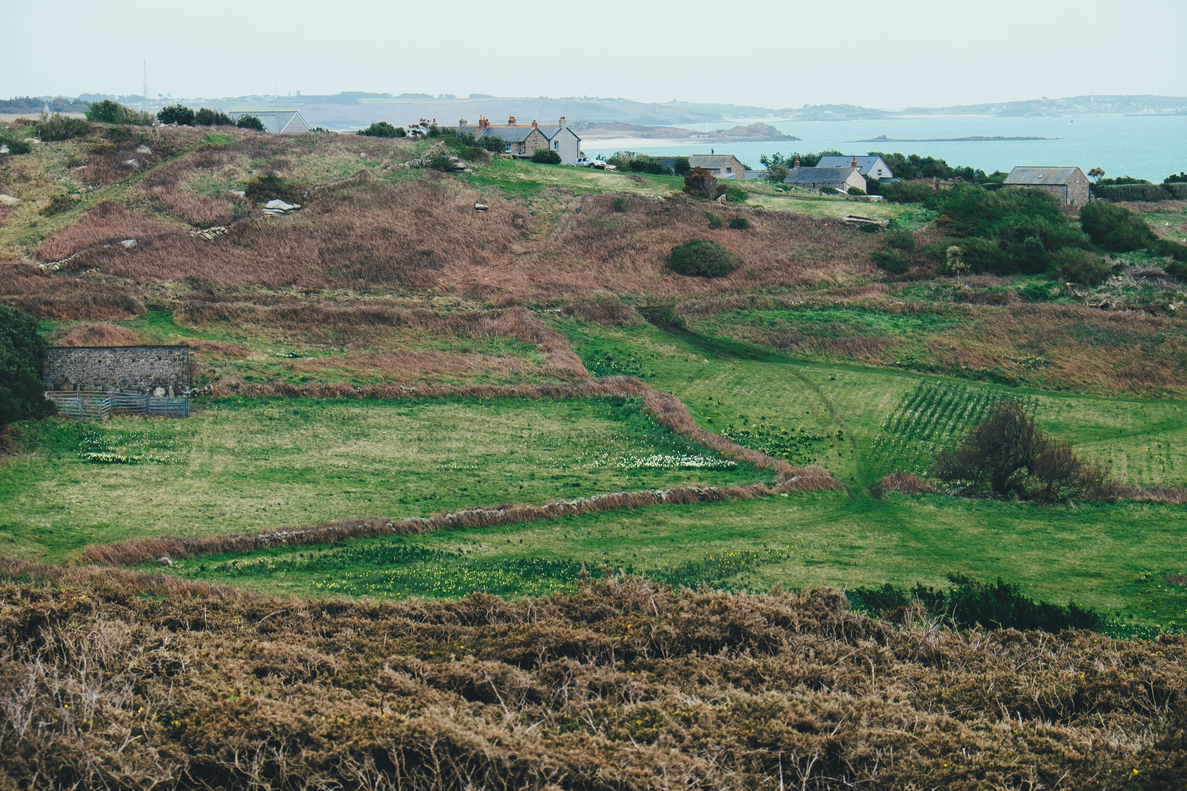 Photo By Annie Spratt