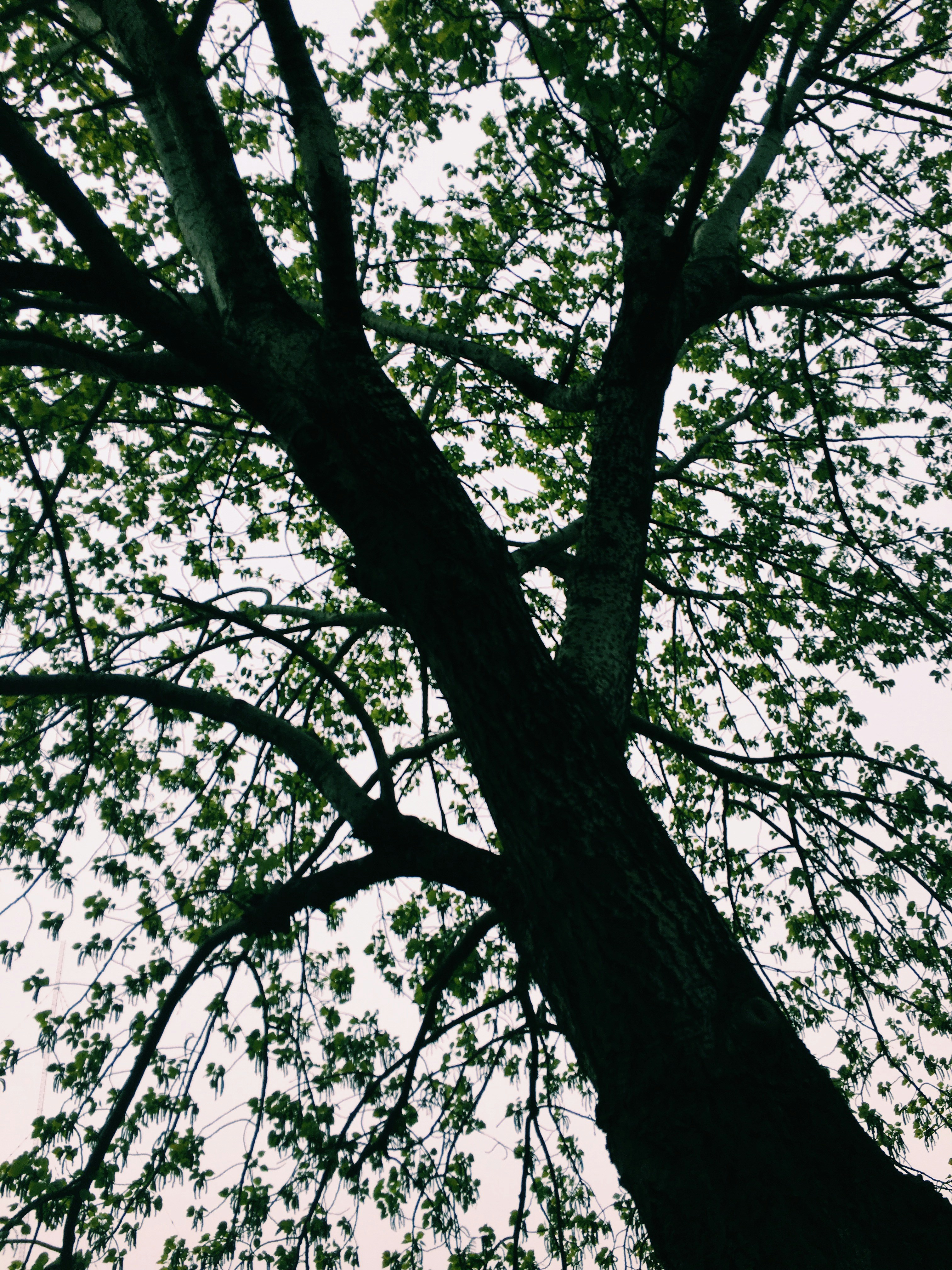 Free Unsplash photo from Ma Yalin