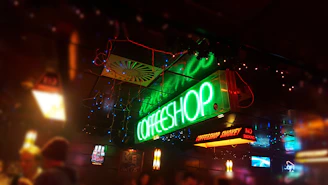 A cozy corner inside Velvet Weed shop with green and purple neon lights casting a chill vibe.
